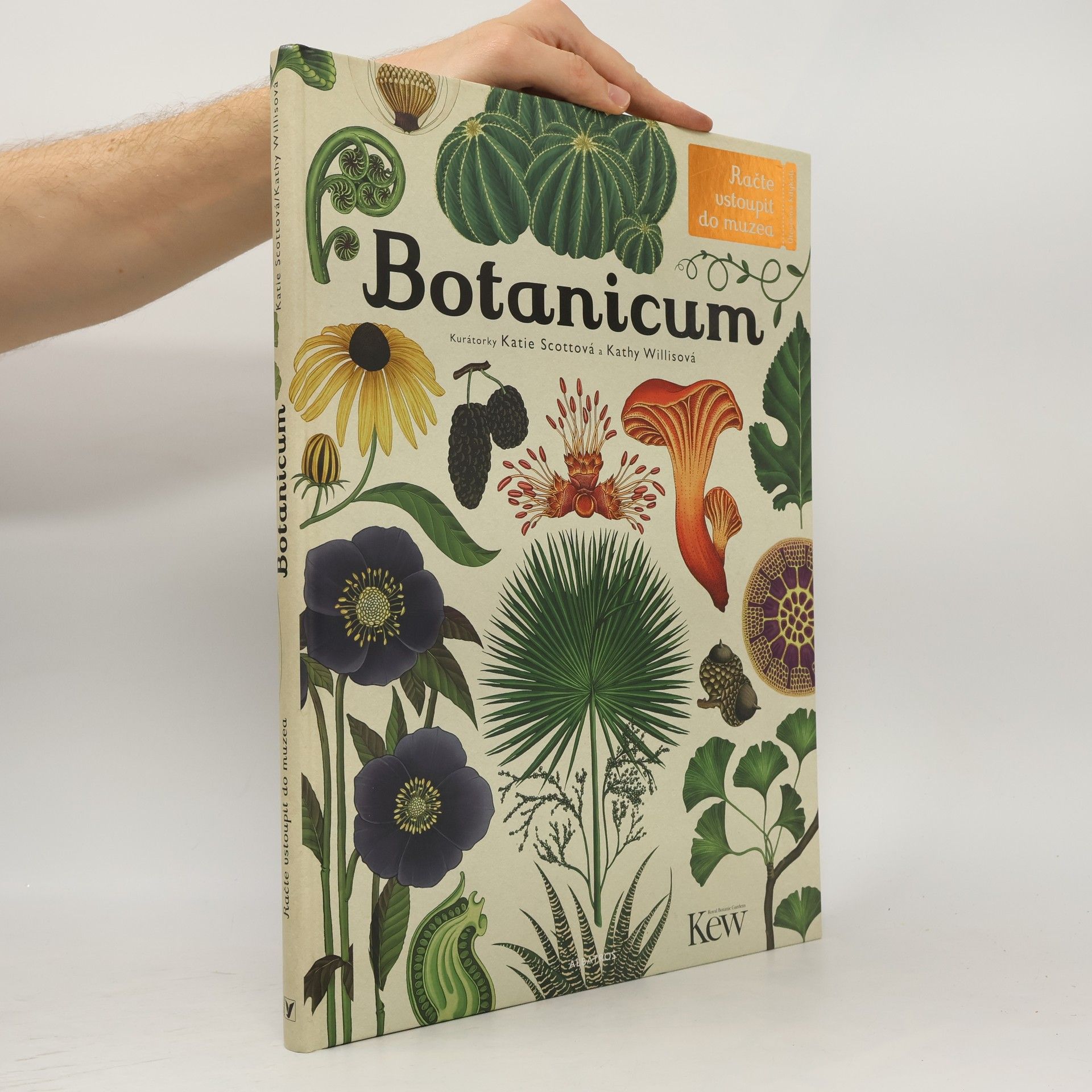 Kathy Willis Botanicum
