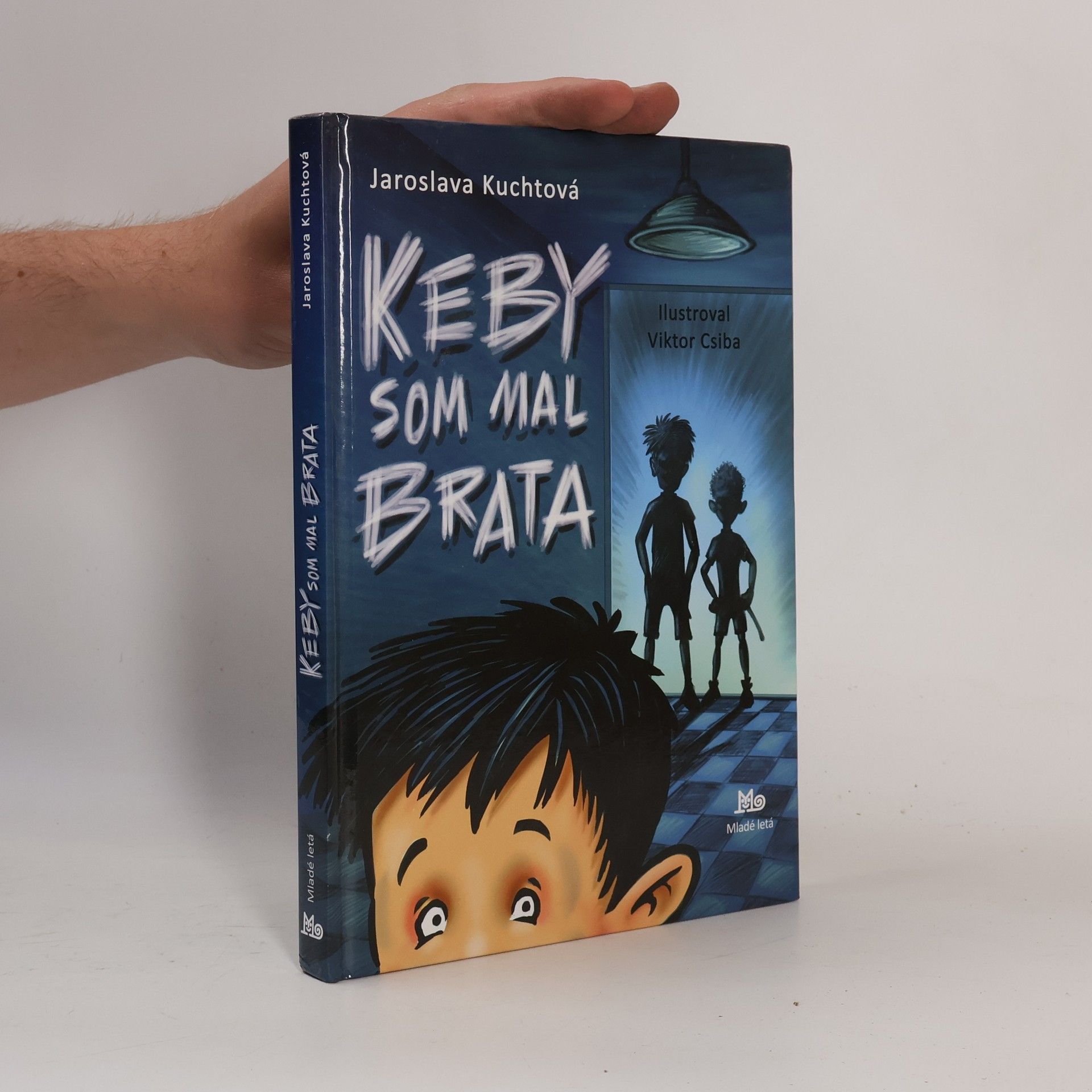 Keby som mal brata