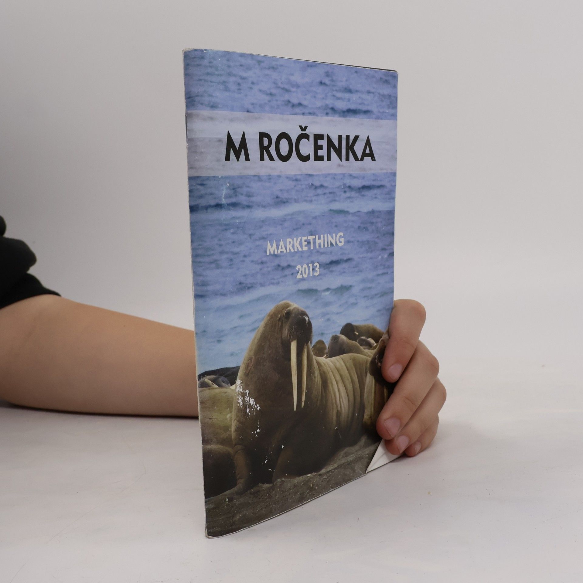 Kolektiv autorů M ročenka. Markething 2013