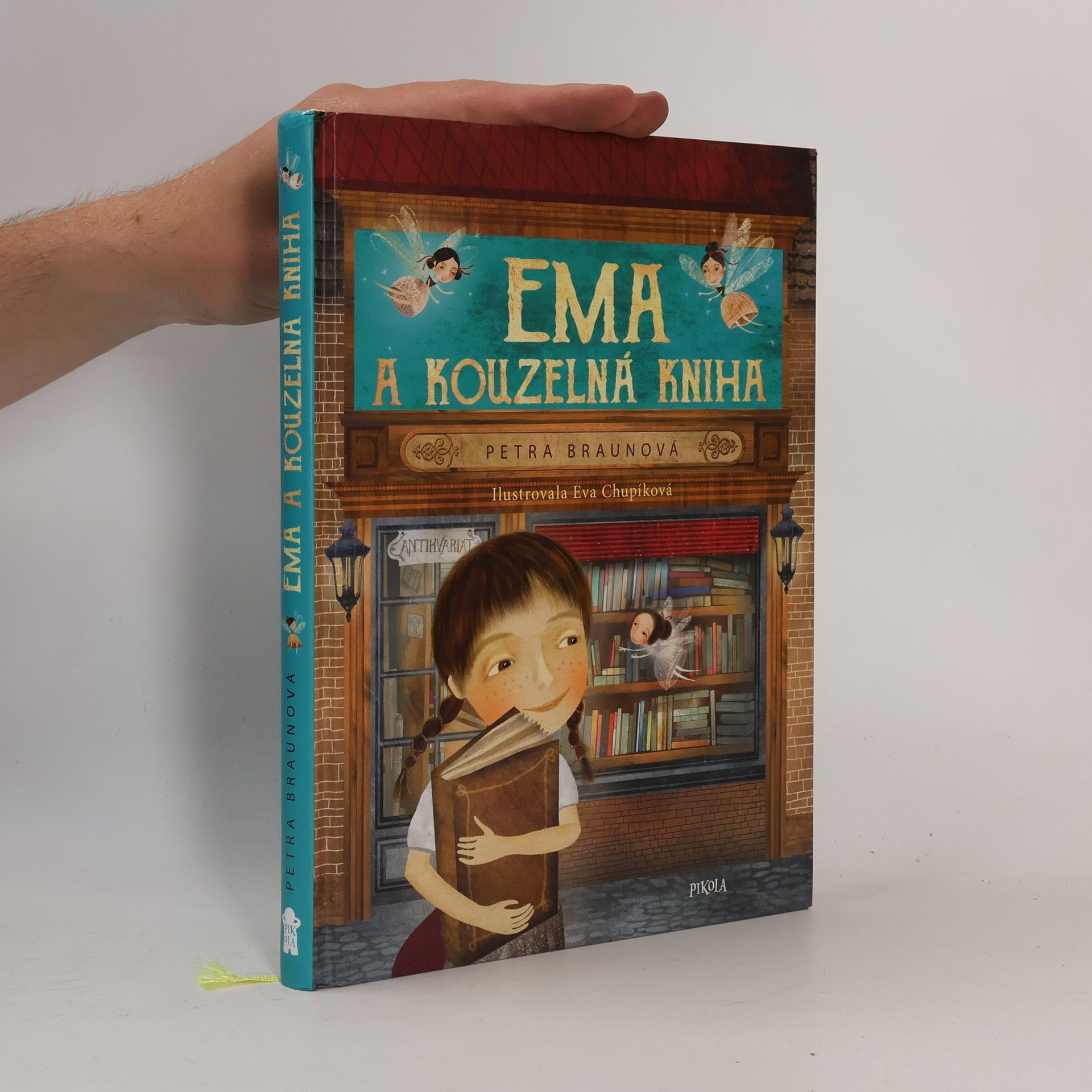 Petra Braun Groh Ema a kouzelná kniha