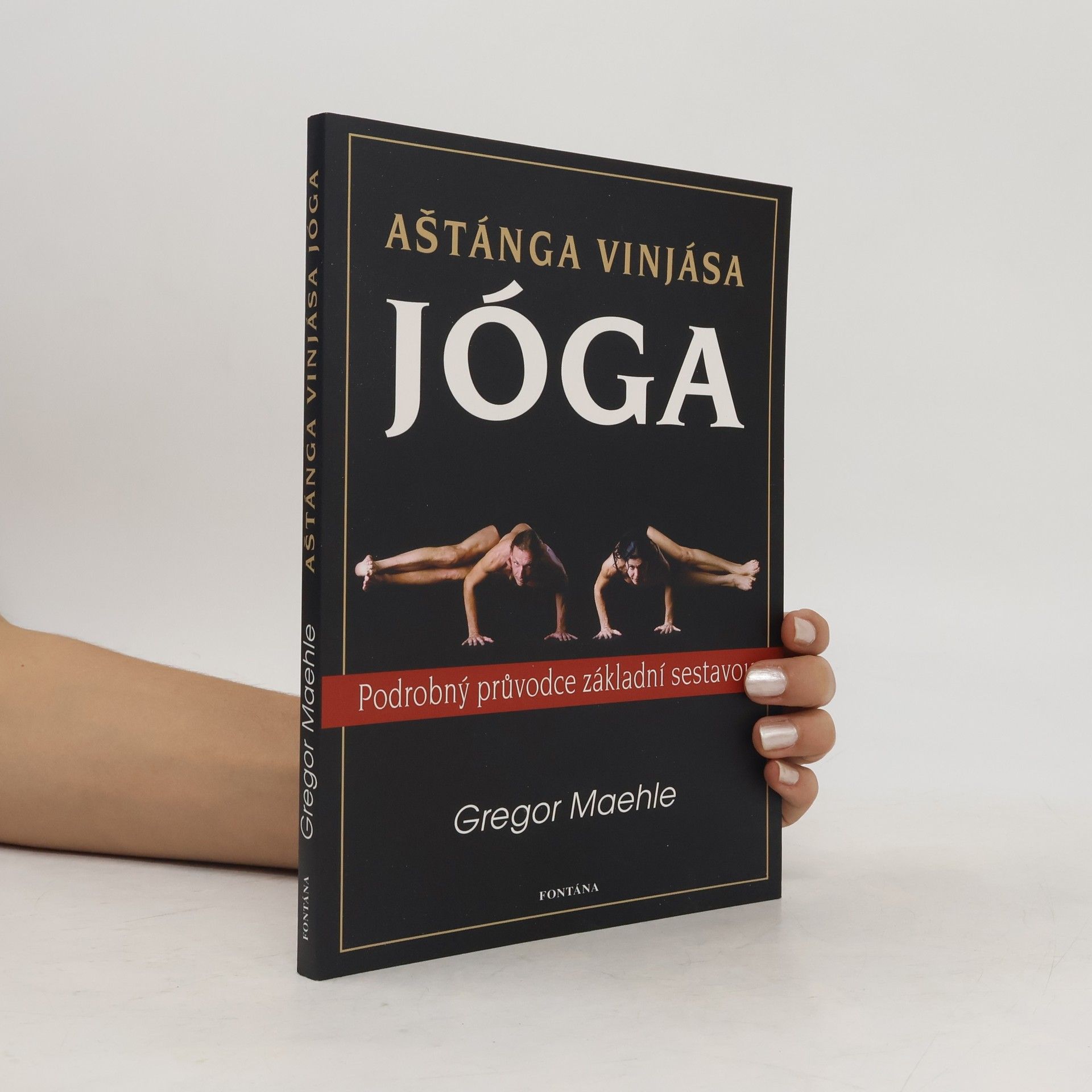 Gregor Maehle Aštánga vinjása jóga