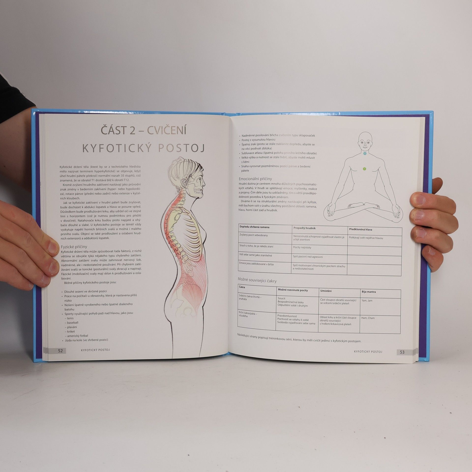 Nicky Jenkins Anatomie jógy pro správné držení těla a zdraví