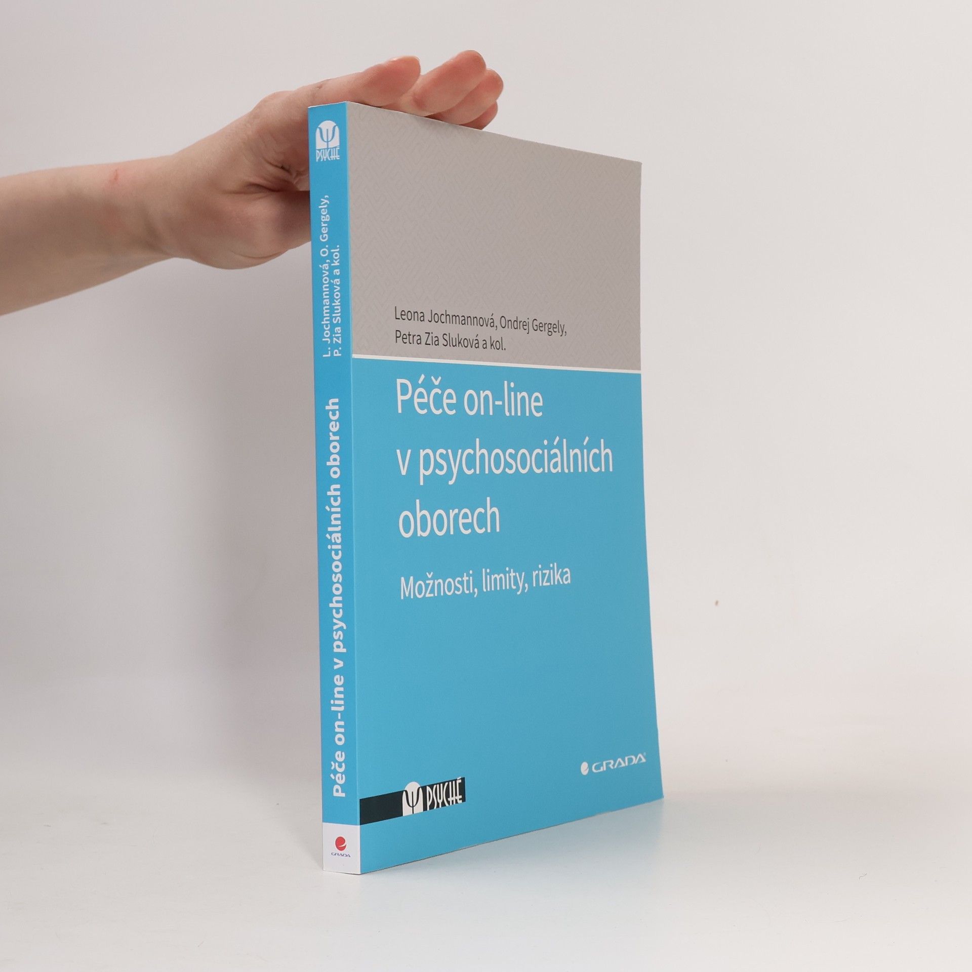Petra Sluková Péče on-line v psychosociálních oborech