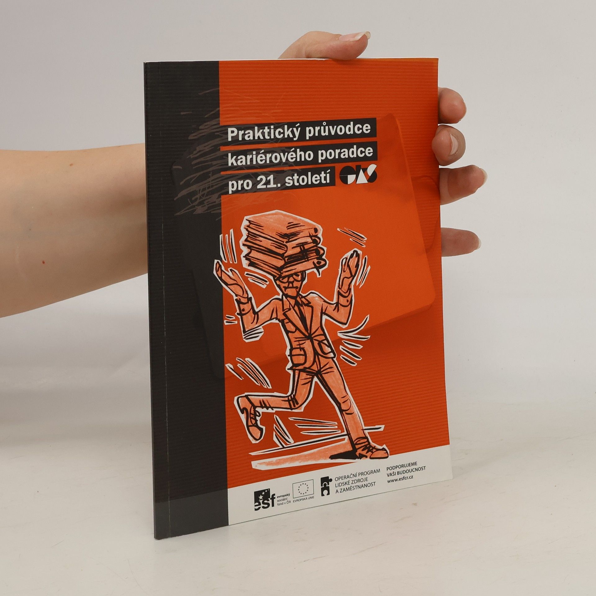 Helena Košťálová Praktický průvodce kariérového poradce pro 21. století
