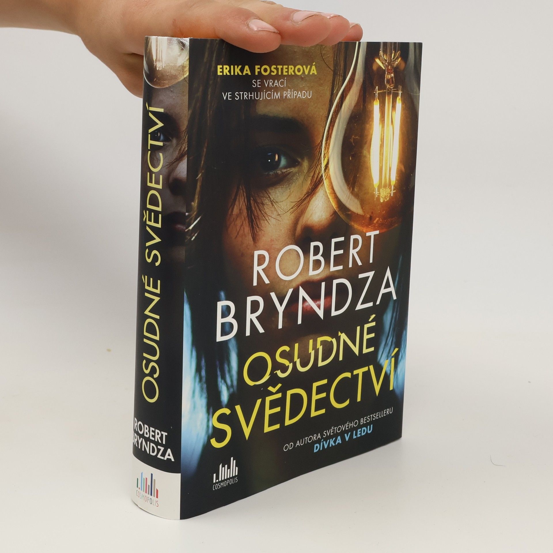 Robert Bryndza Osudné svědectví