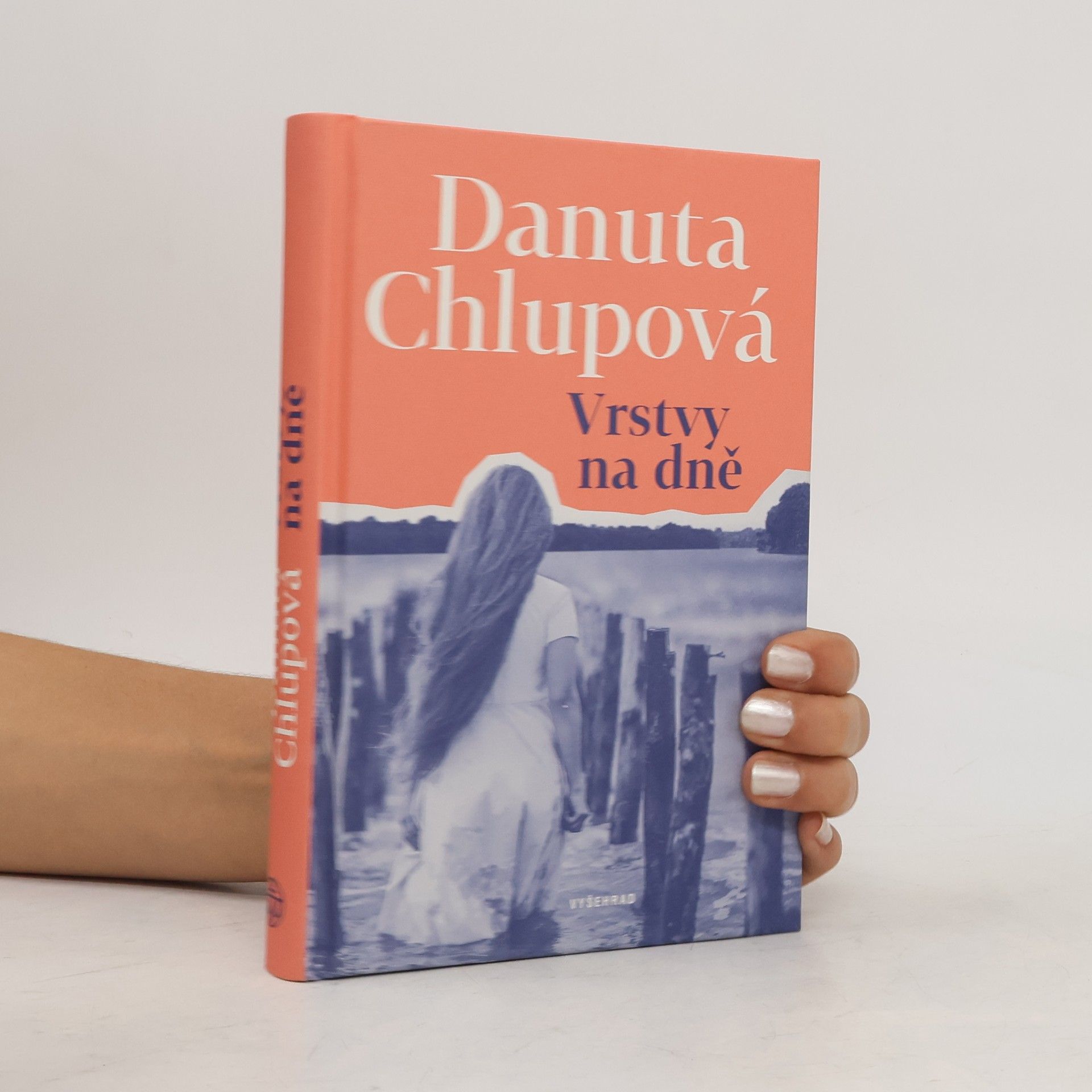 Danuta Chlupová Vrstvy na dně