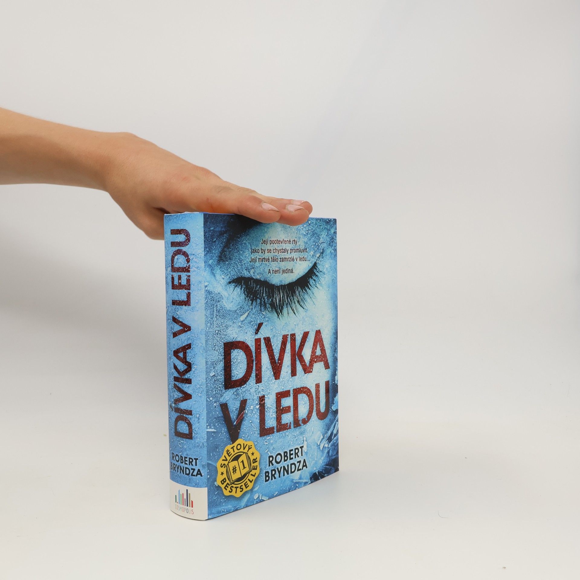 Robert Bryndza Dívka v ledu