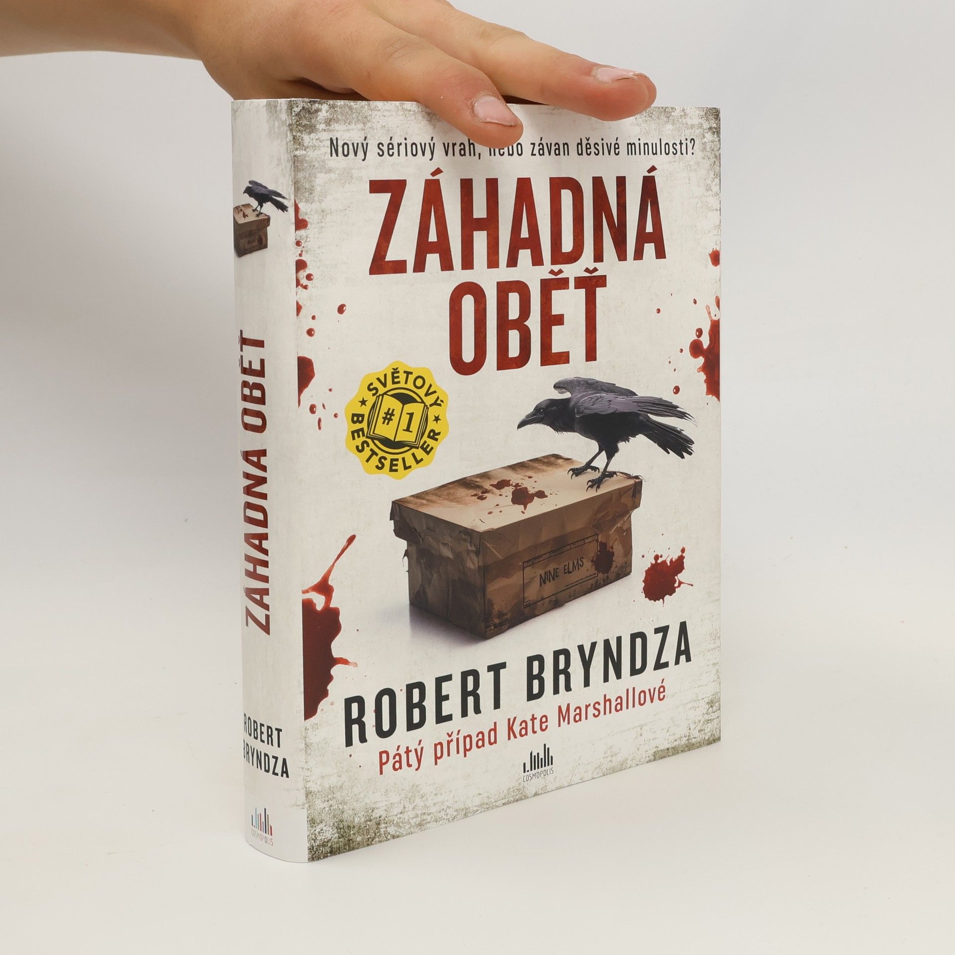 Robert Bryndza Záhadná oběť