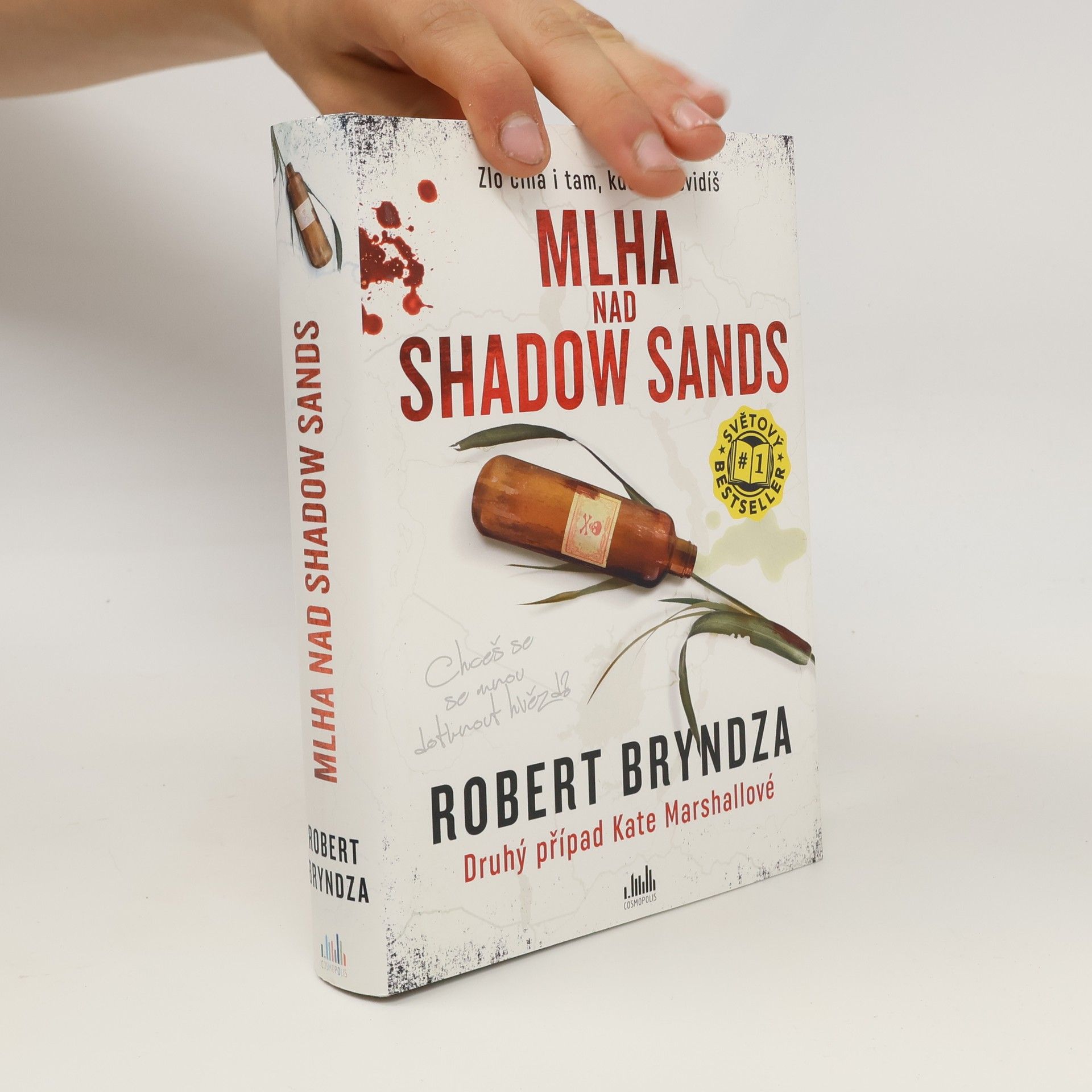Robert Bryndza Mlha nad Shadow Sands