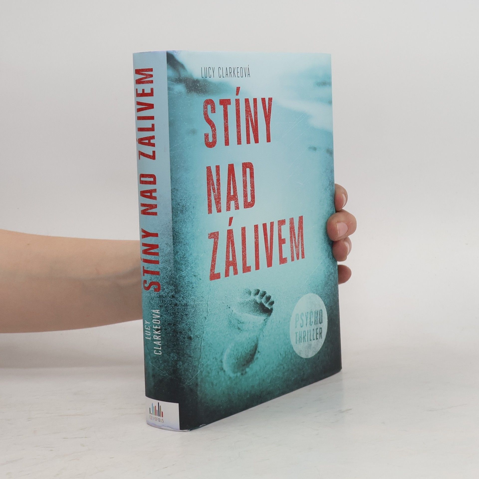 Lucy Clarke Stíny nad zálivem