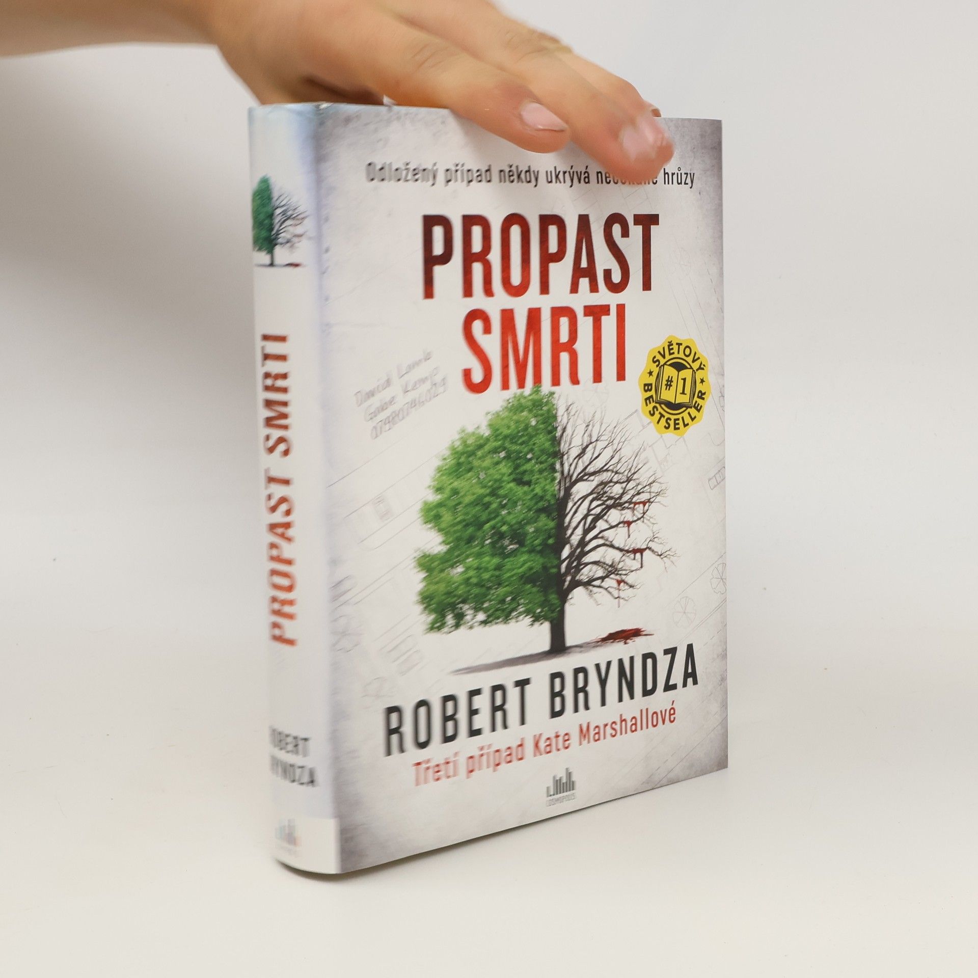 Robert Bryndza Propast smrti