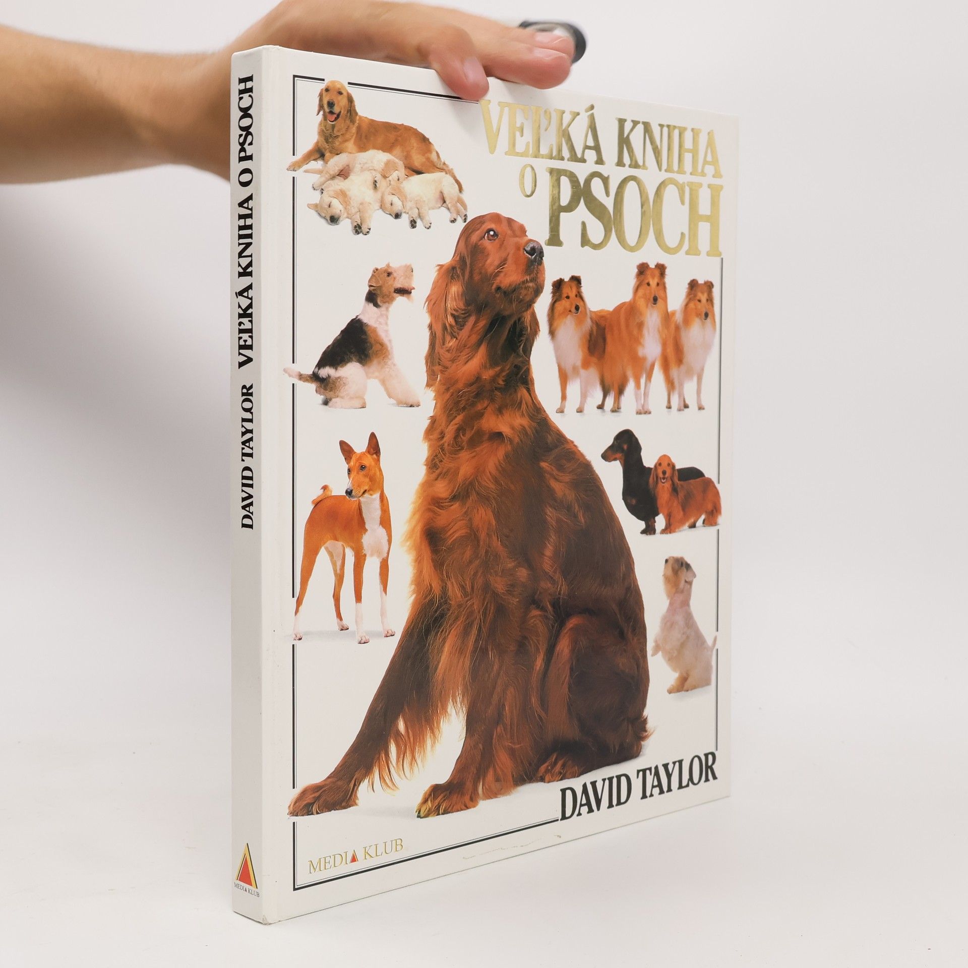David Taylor Veľká kniha o psoch