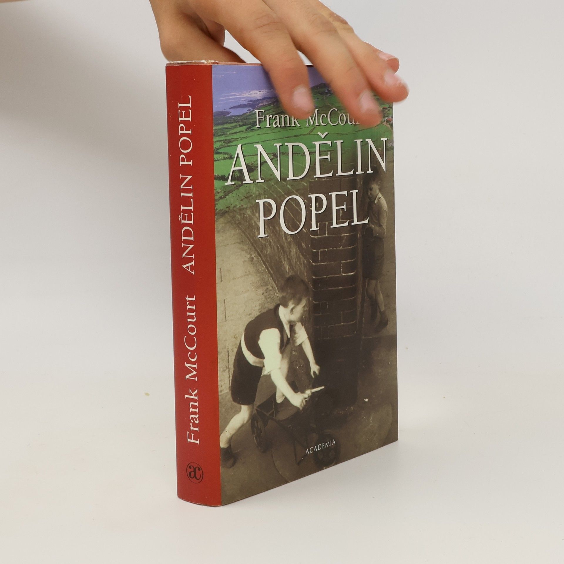Frank McCourt Andělin popel