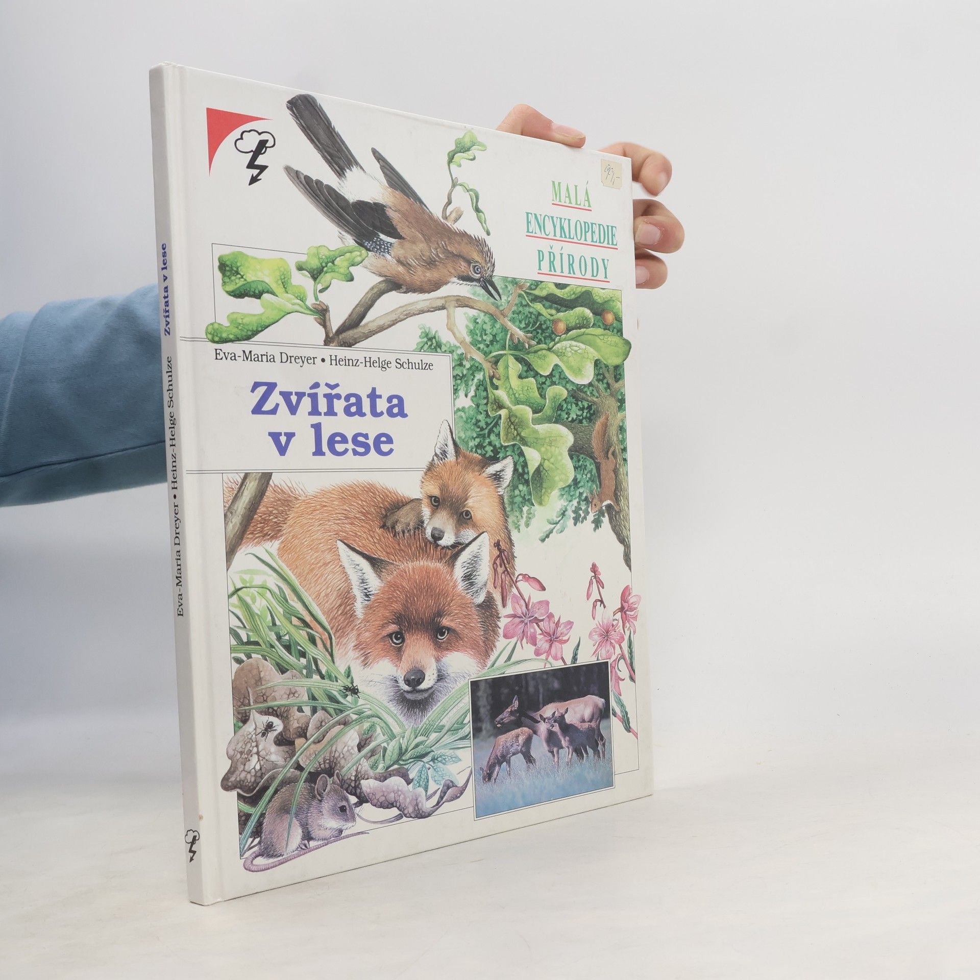Eva-Maria Dreyer Zvířata v lese