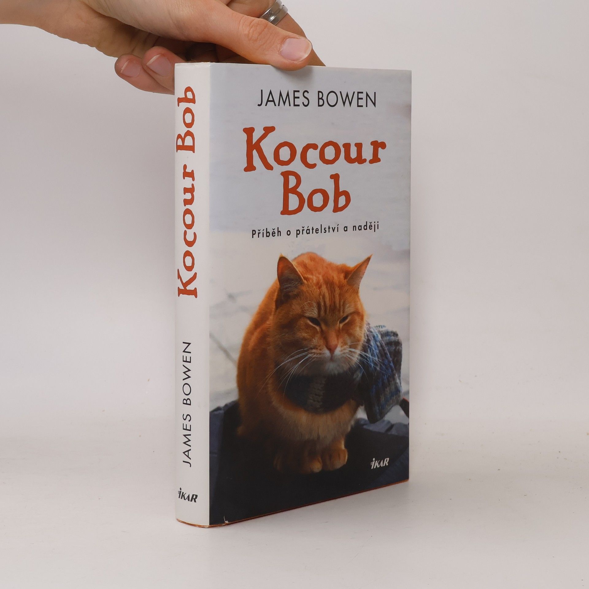 James Bowen Kocour Bob