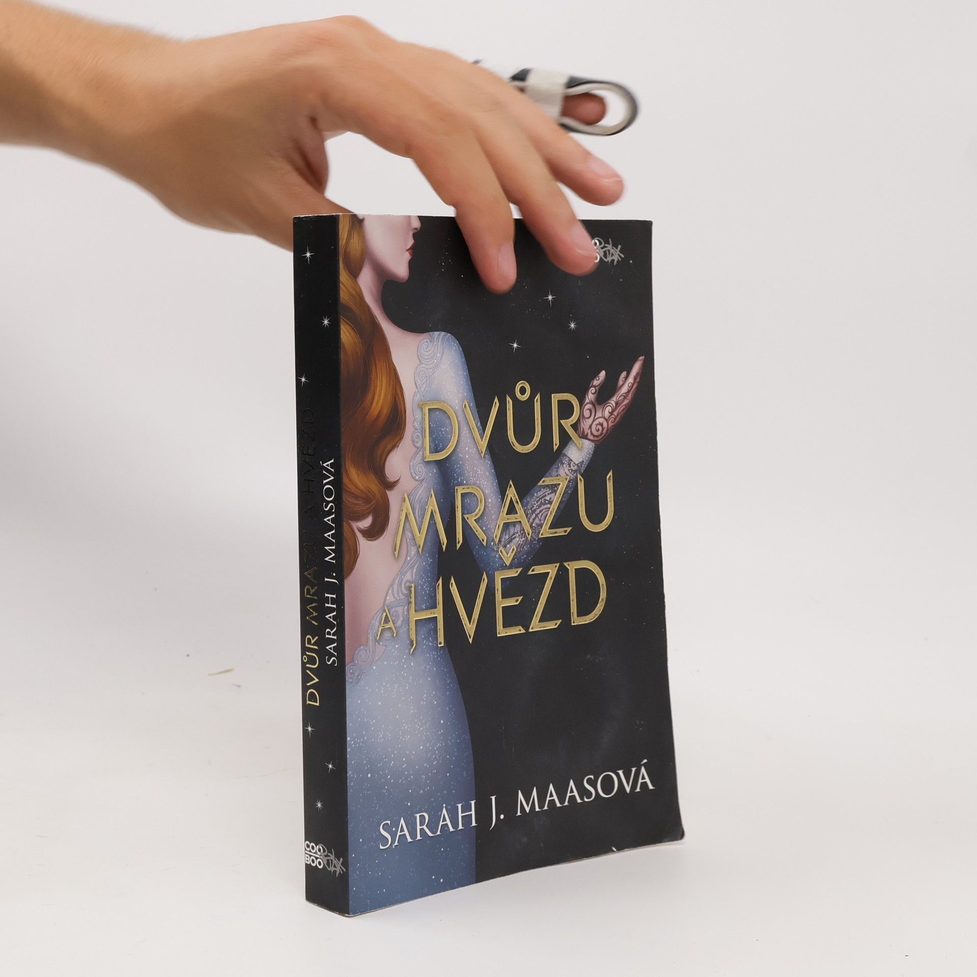 Sarah J. Maas Dvůr mrazu a hvězd