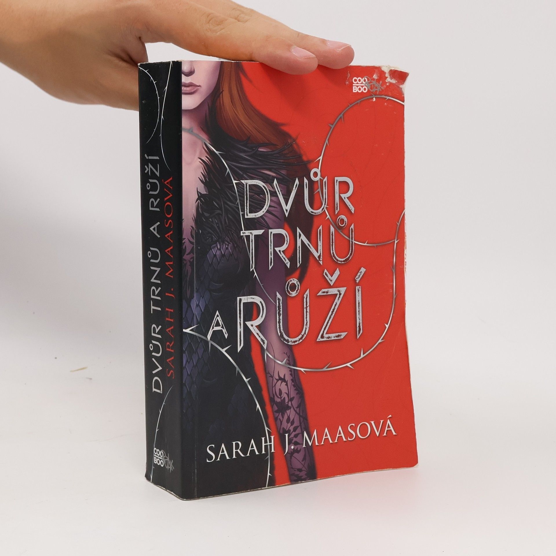 Sarah J. Maas Dvůr trnů a růží