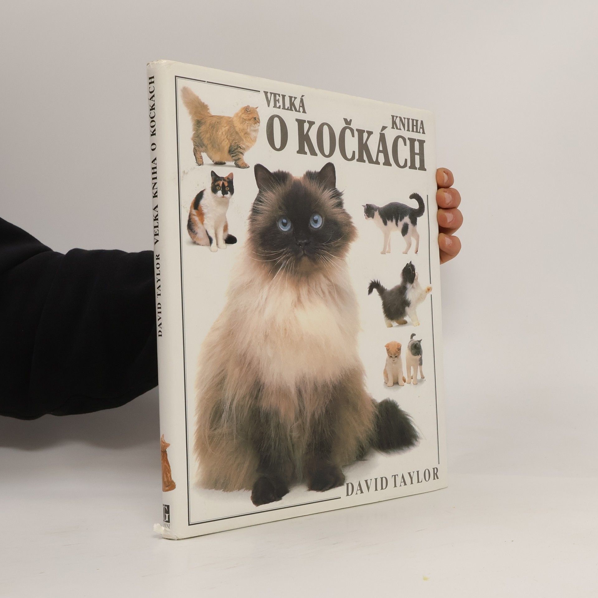 David Conrad Taylor Velká kniha o kočkách