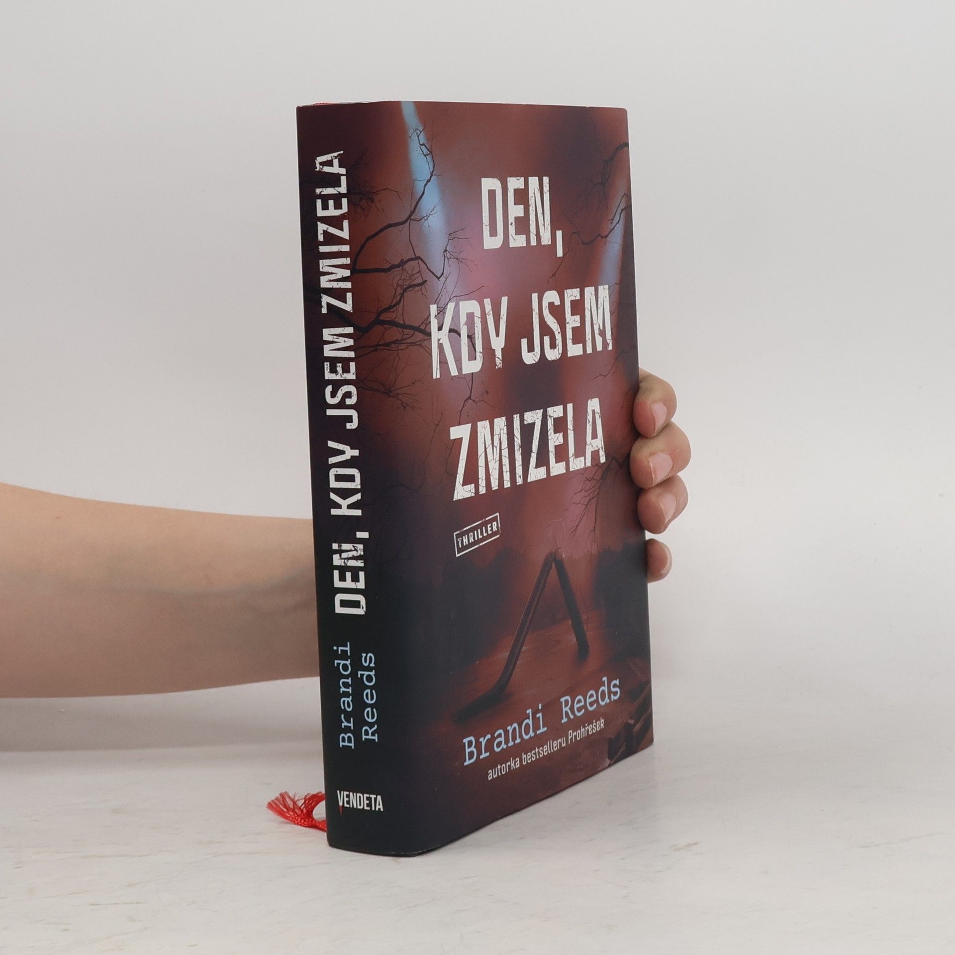 Brandi Reeds Den, kdy jsem zmizela