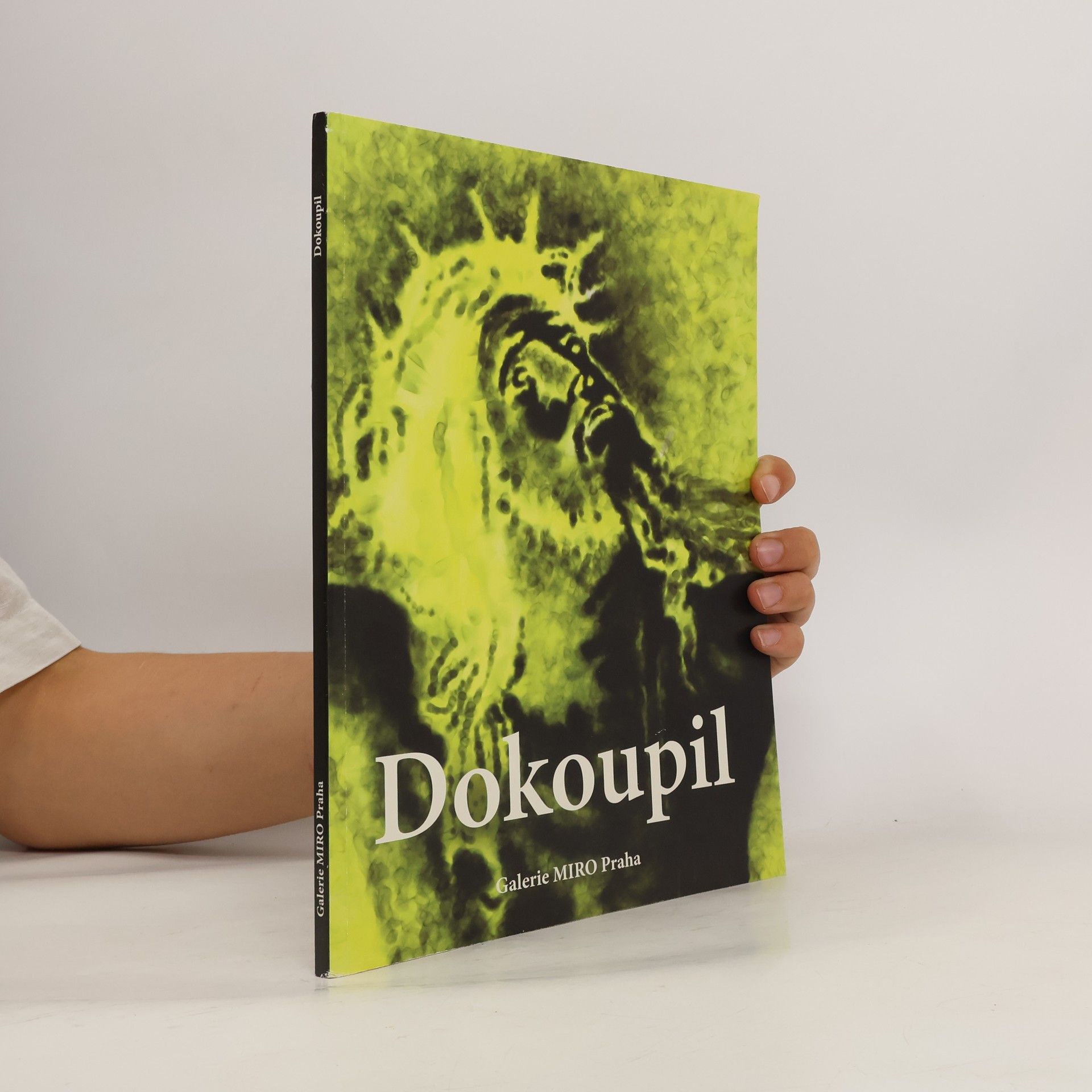 Jiří G. Dokoupil Dokoupil - Nové religiózní obrazy