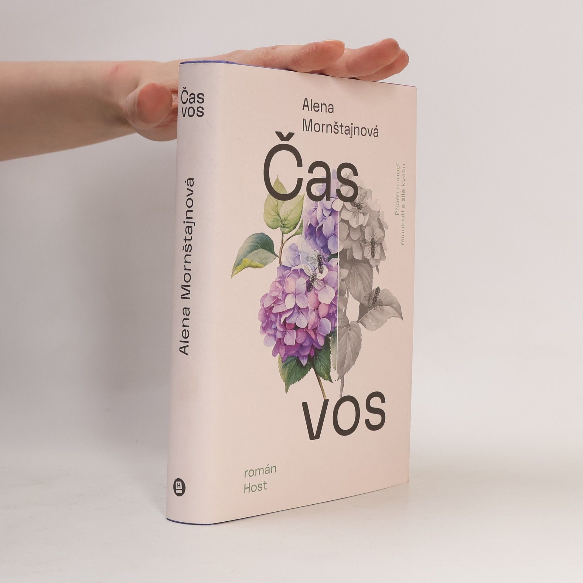 Alena Mornštajnová Čas vos
