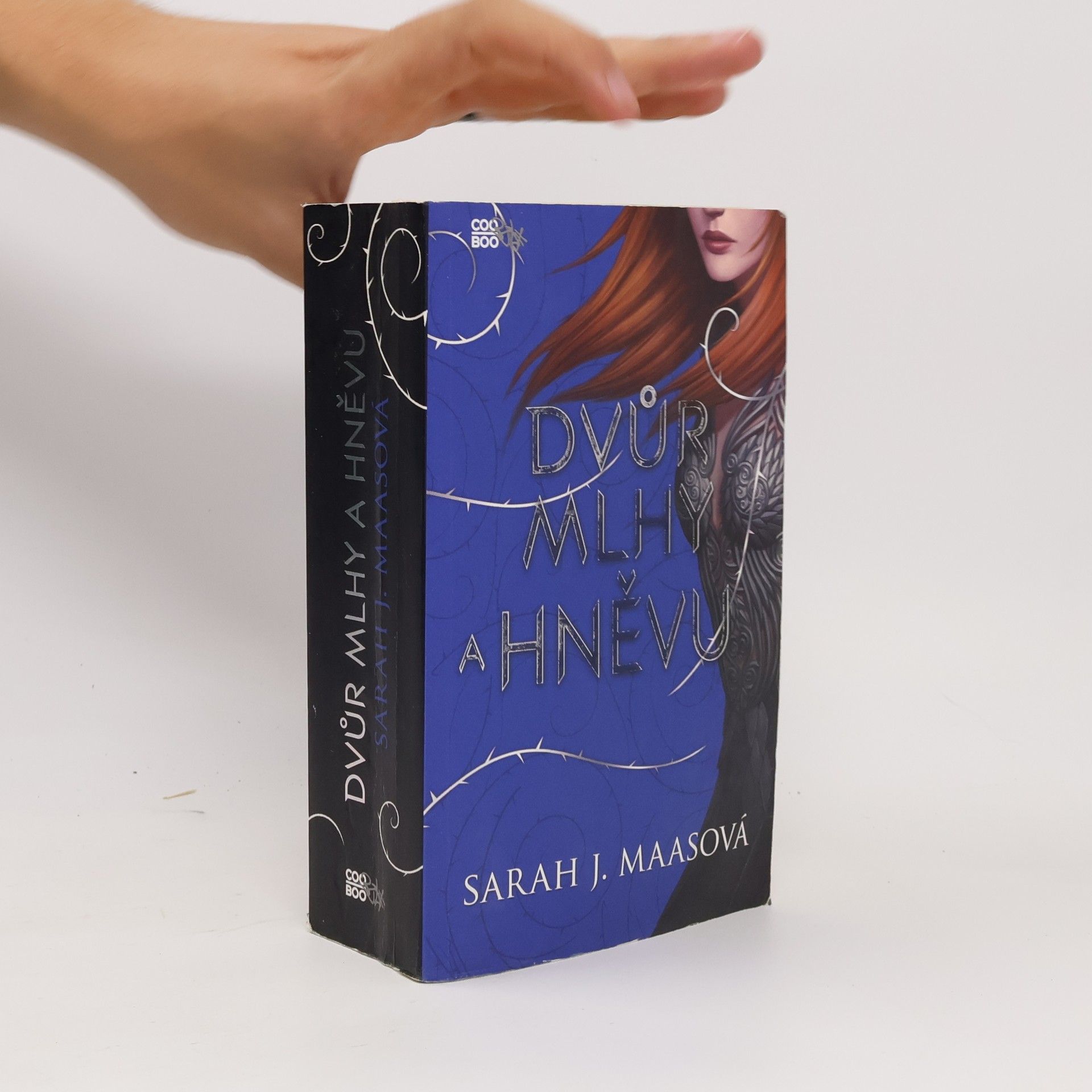 Sarah J. Maas Dvůr mlhy a hněvu