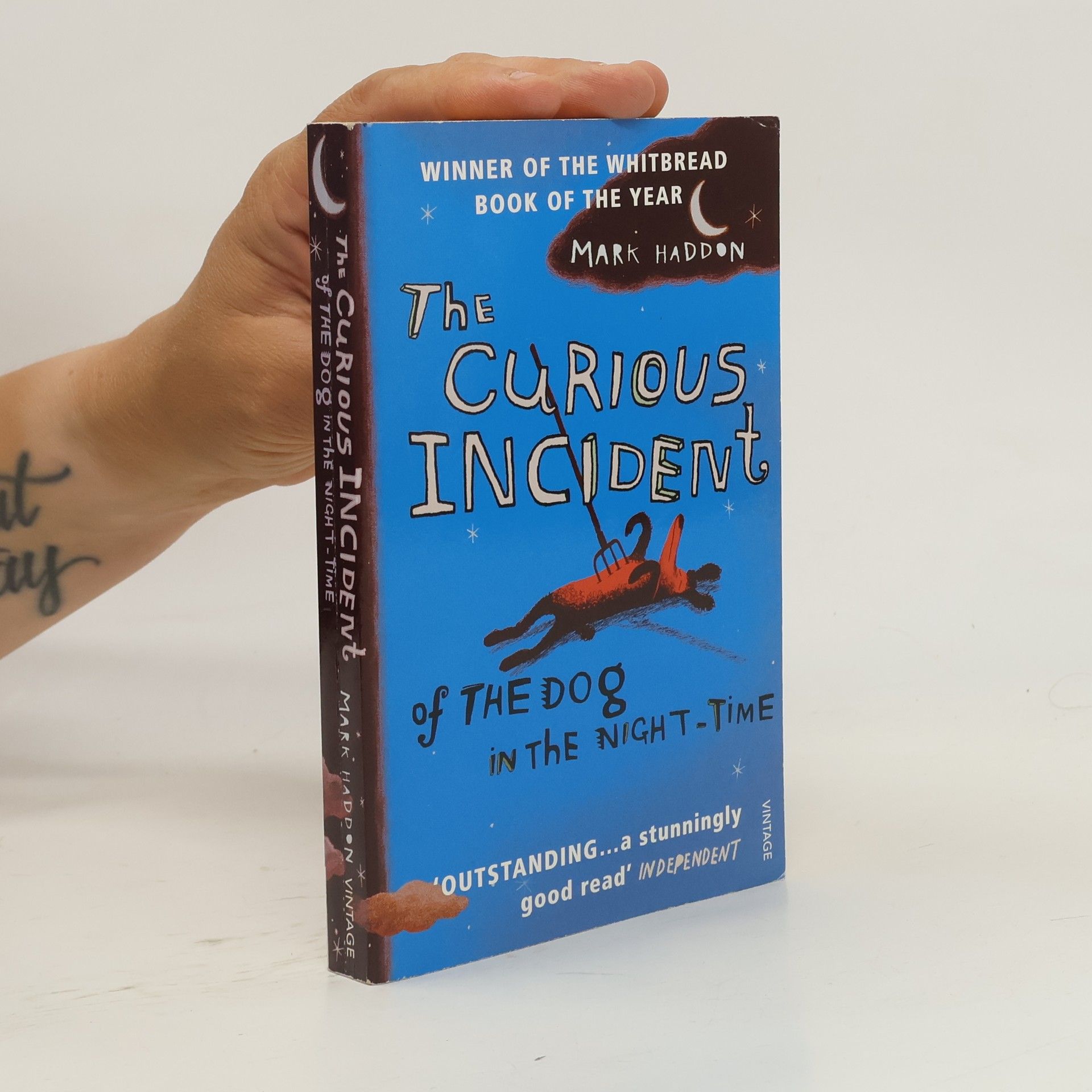 Mark Haddon The Curious Incident of The Dog in The Night-Time