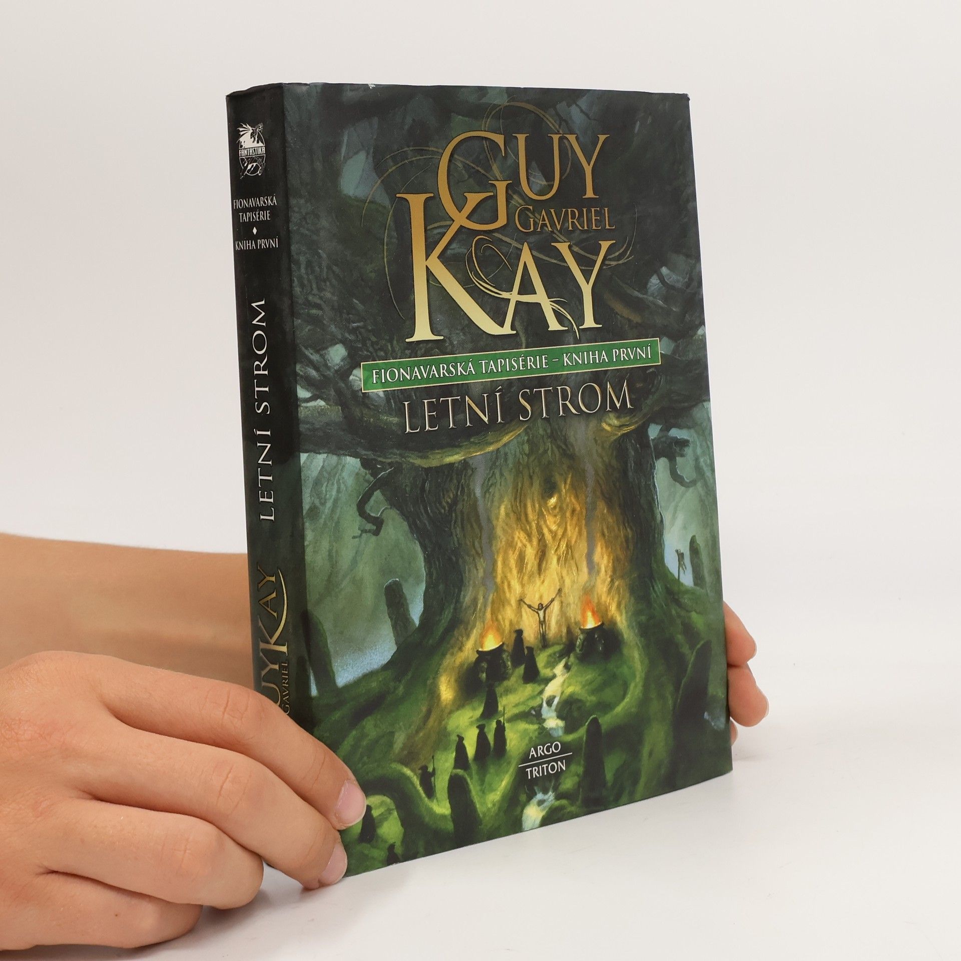 Guy Gavriel Kay Fionavarská tapiserie. Kniha první, Letní strom