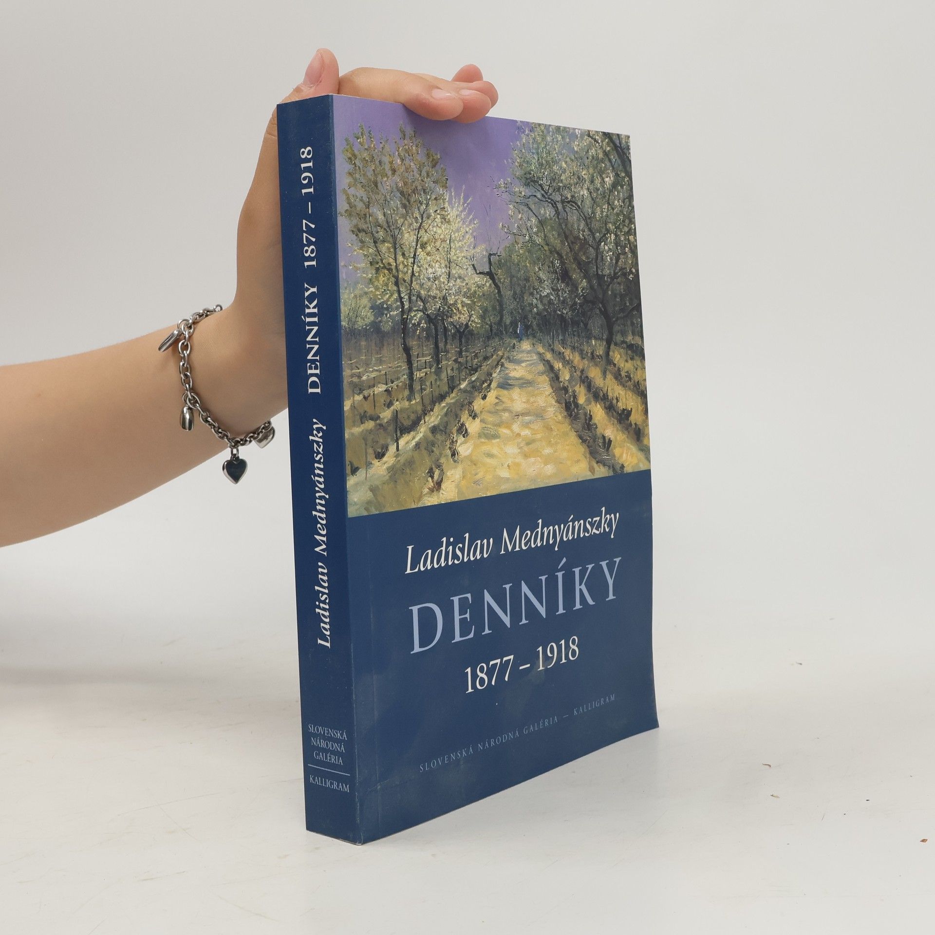 Ladislav Medňanský Denníky 1877-1918