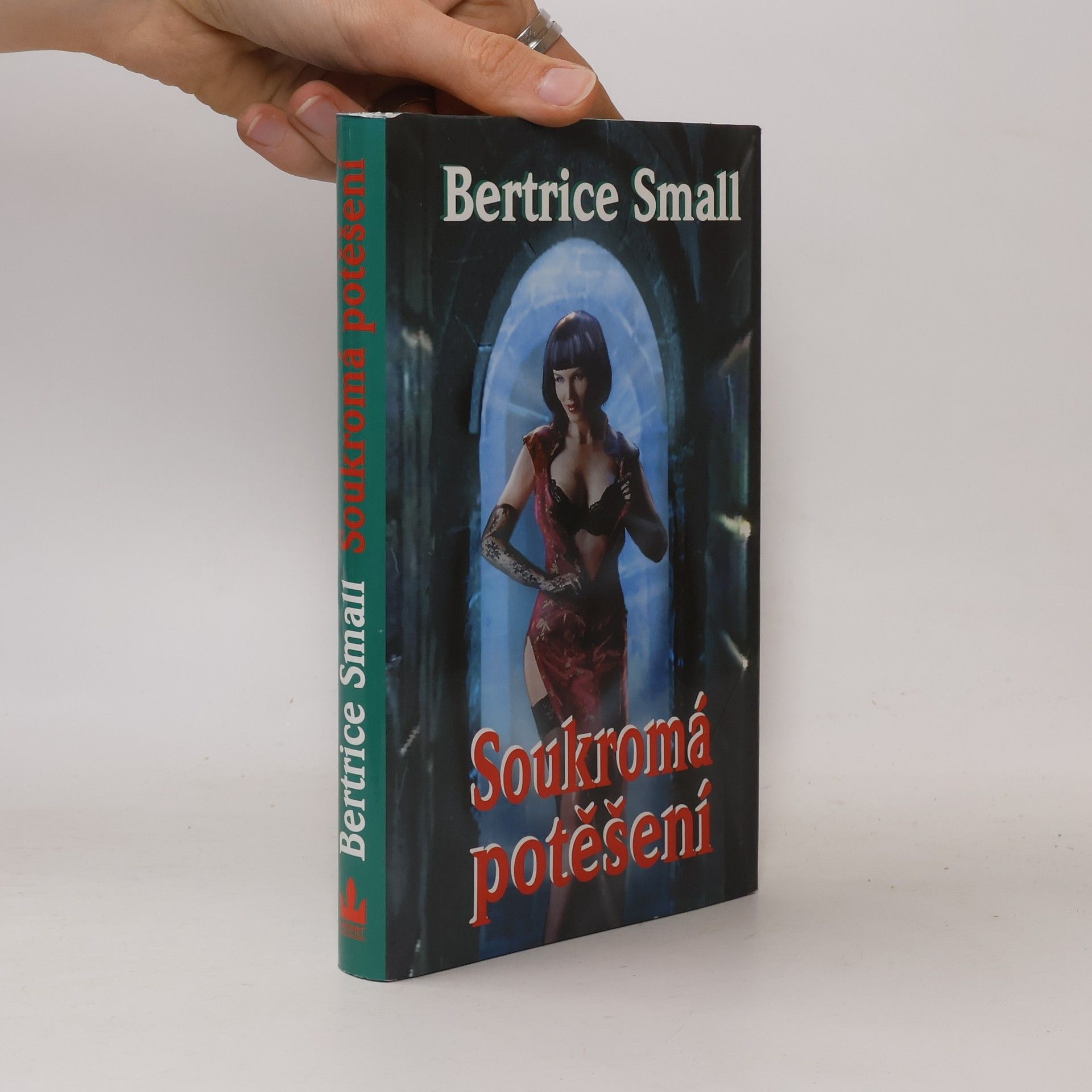 Bertrice Small Soukromá potěšení