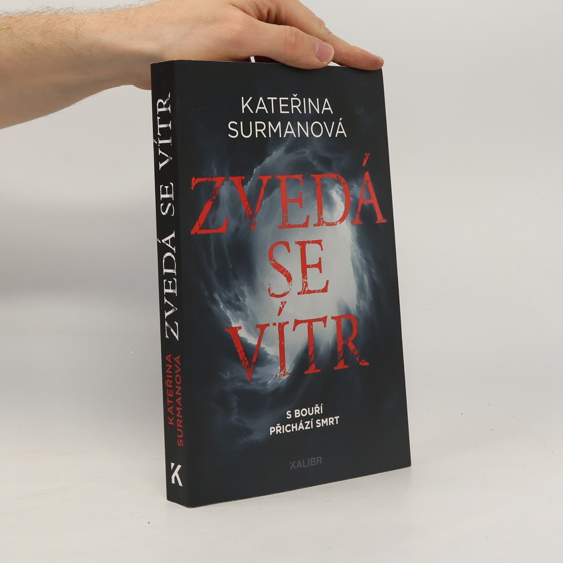 Kateřina Surmanová Zvedá se vítr