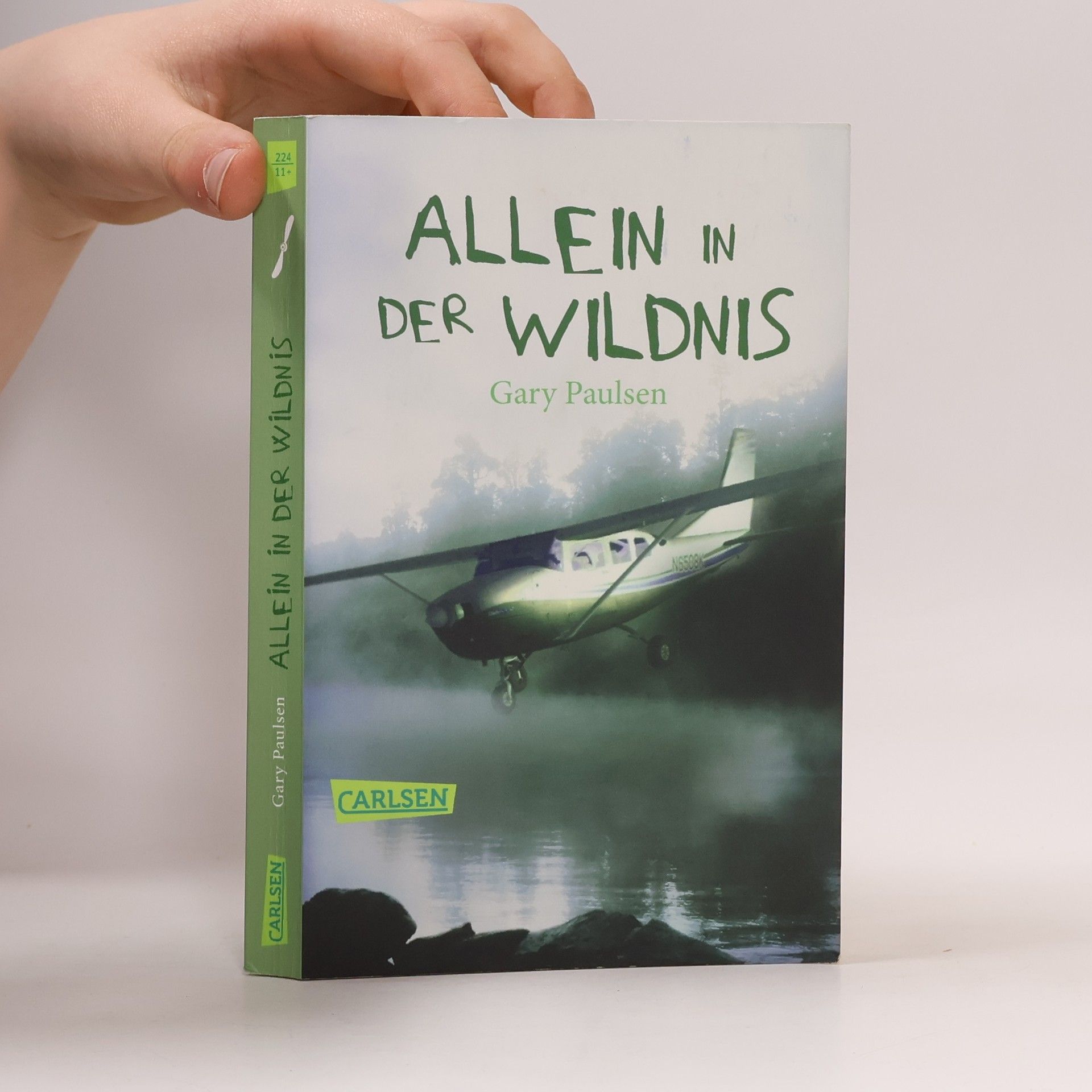Gary Paulsen Allein in der Wildnis