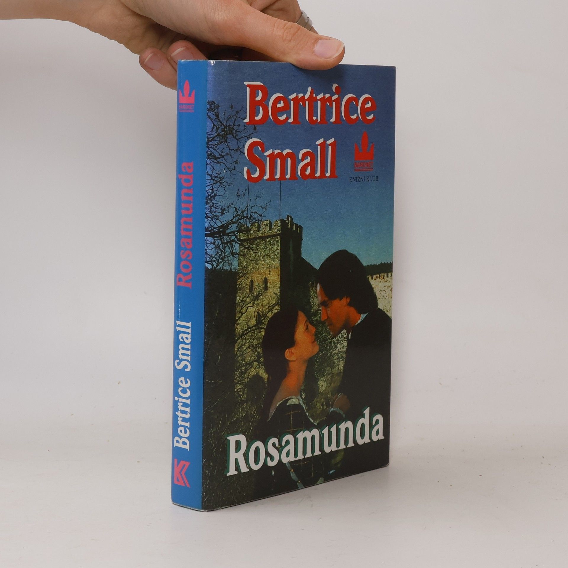 Bertrice Small Rosamunda