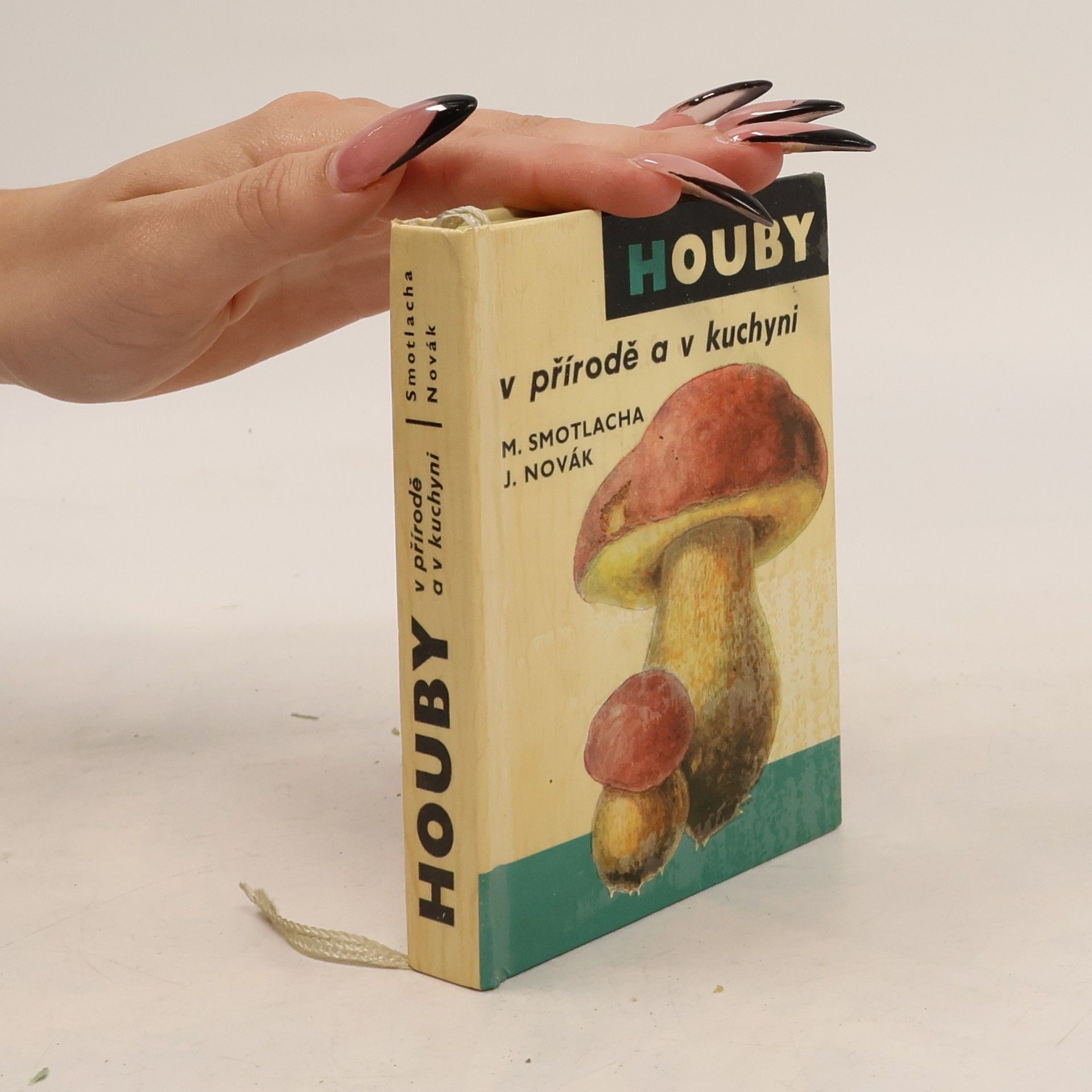 Miroslav Smotlacha Houby v přírodě a v kuchyni