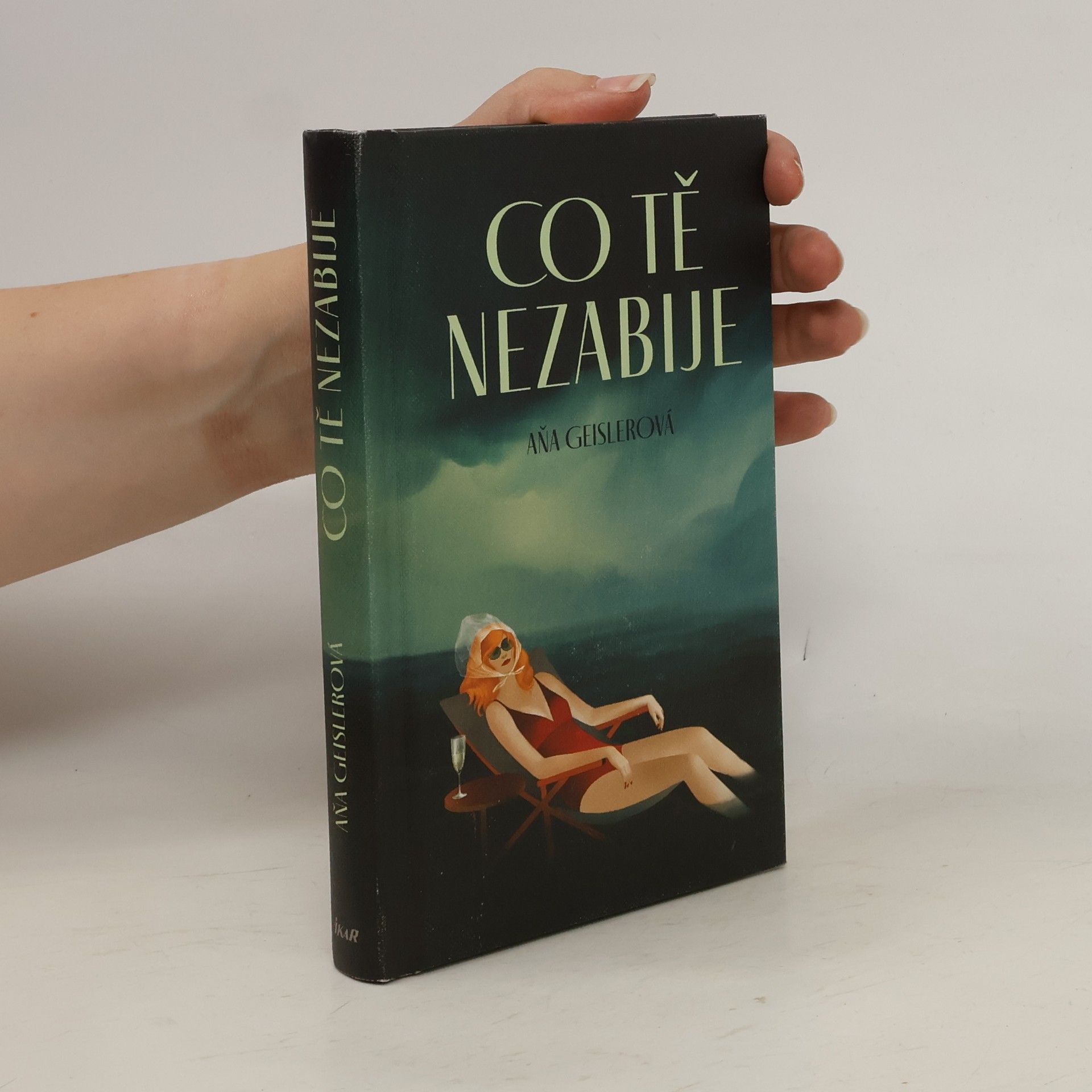 Aňa Geislerová Co tě nezabije