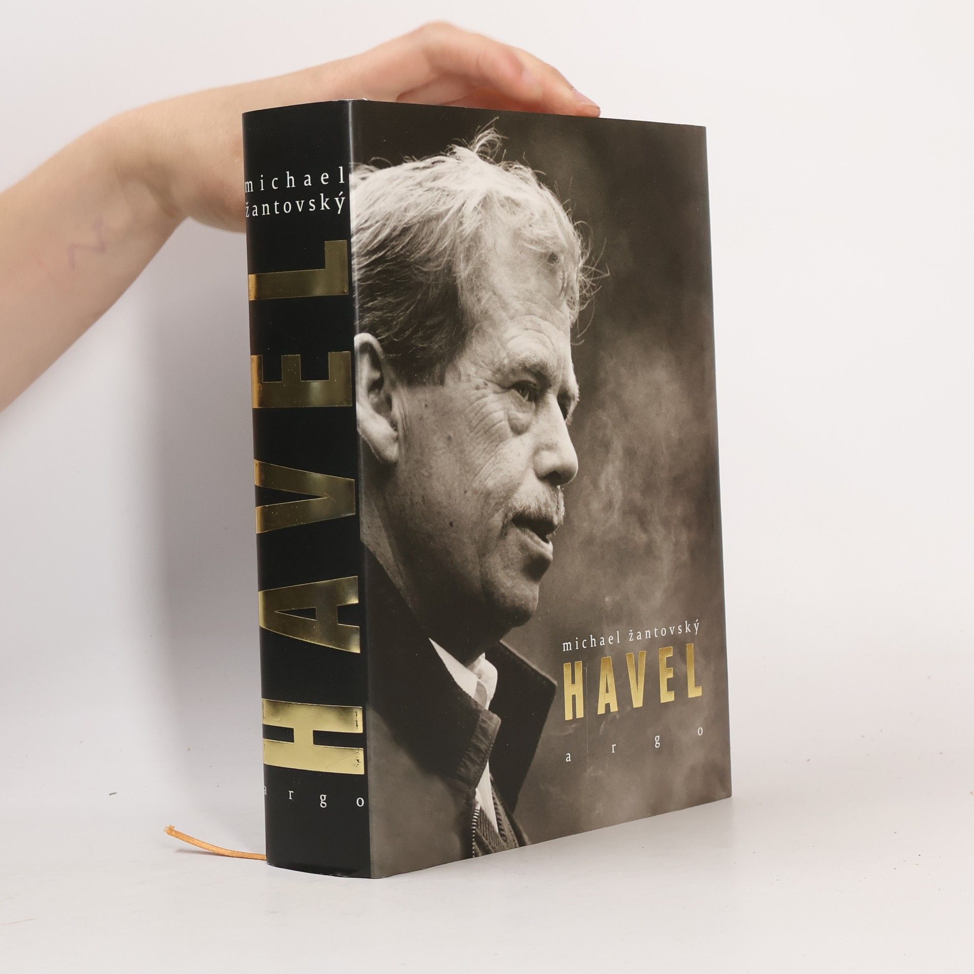 Michael Žantovský Havel