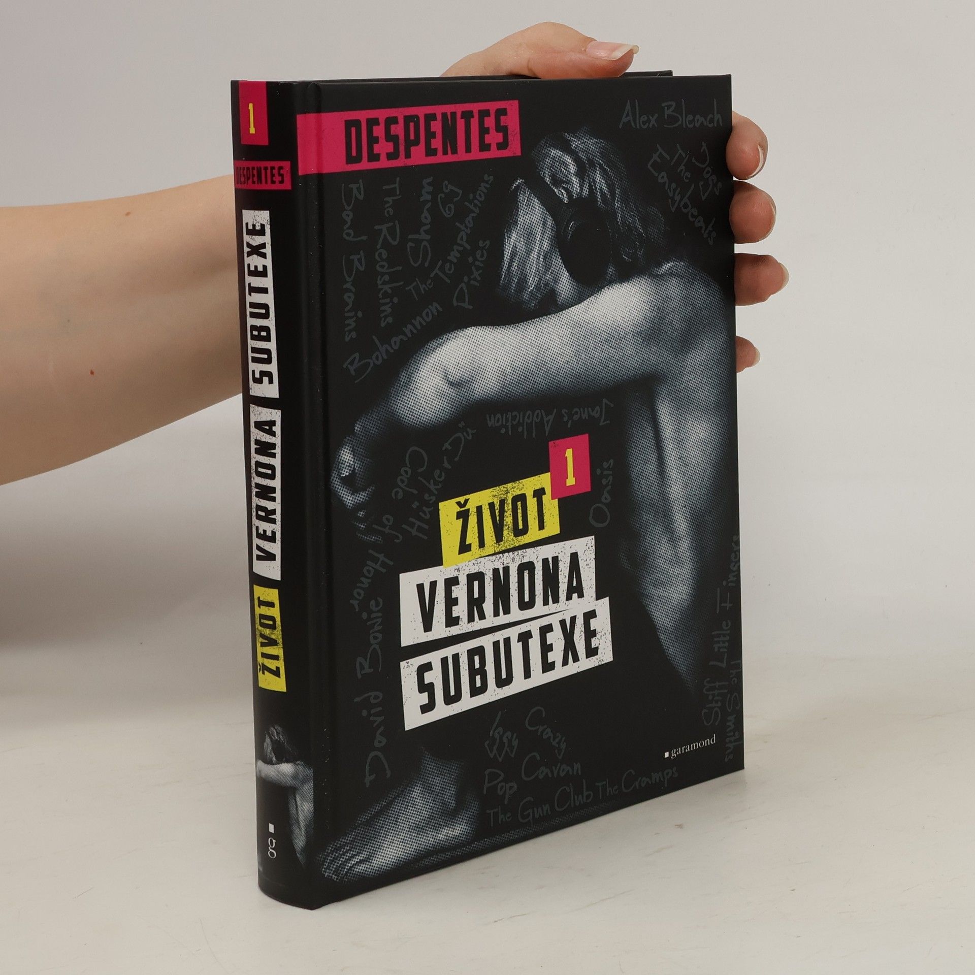 Virginie Despentes Život Vernona Subutexe. Díl 1.