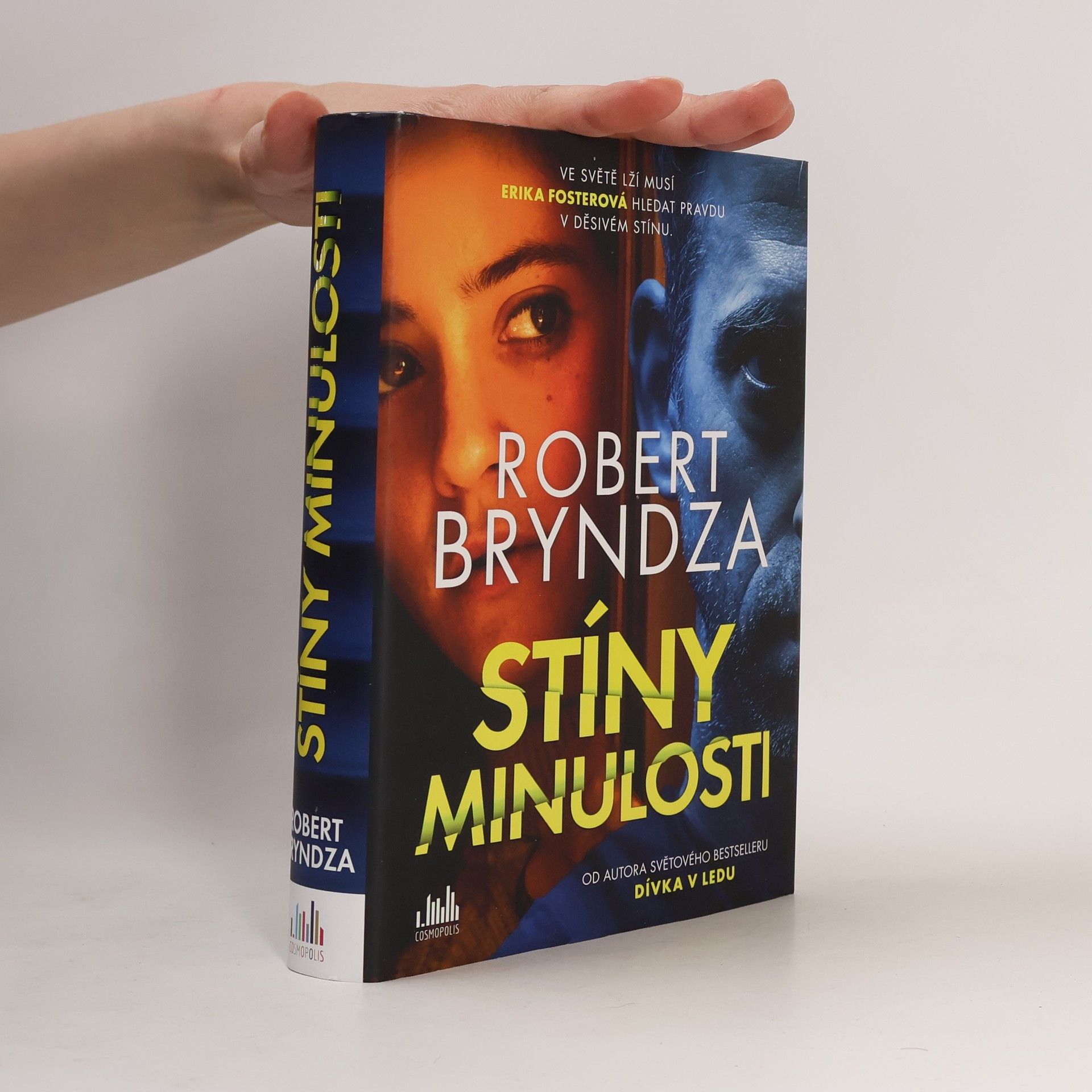 Robert Bryndza Stíny minulosti