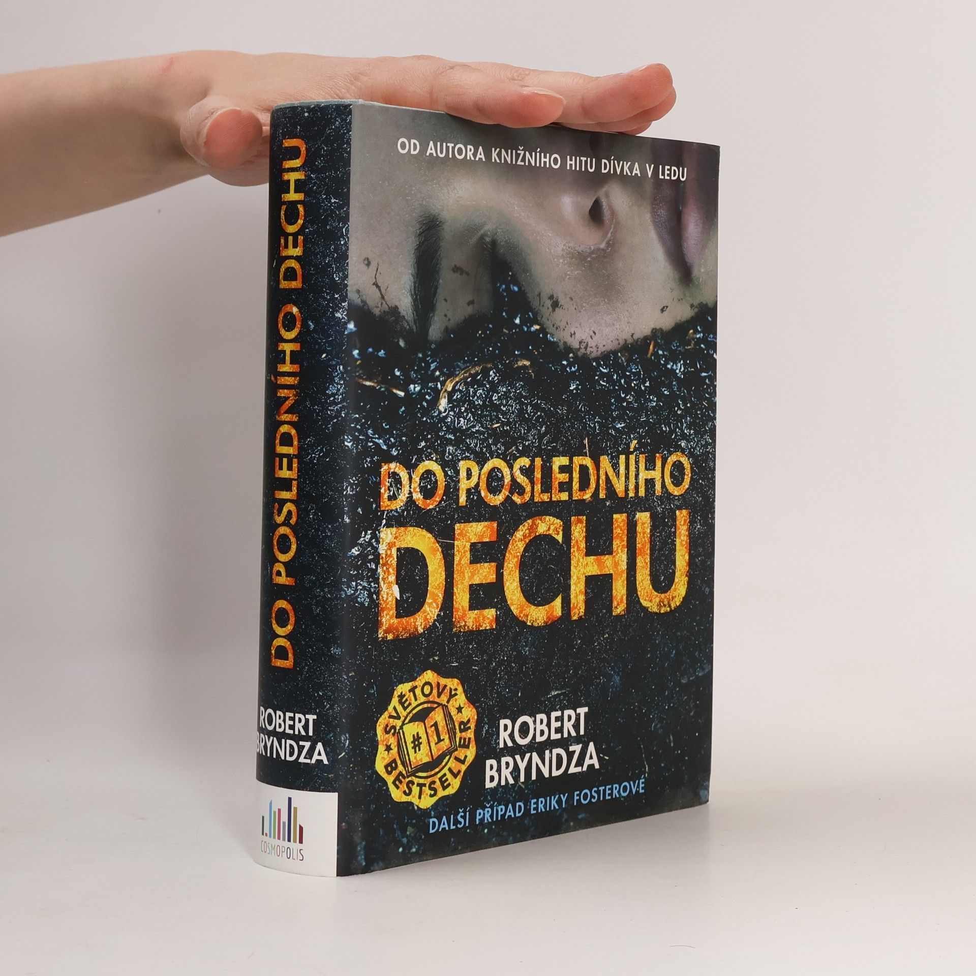 Robert Bryndza Do posledního dechu
