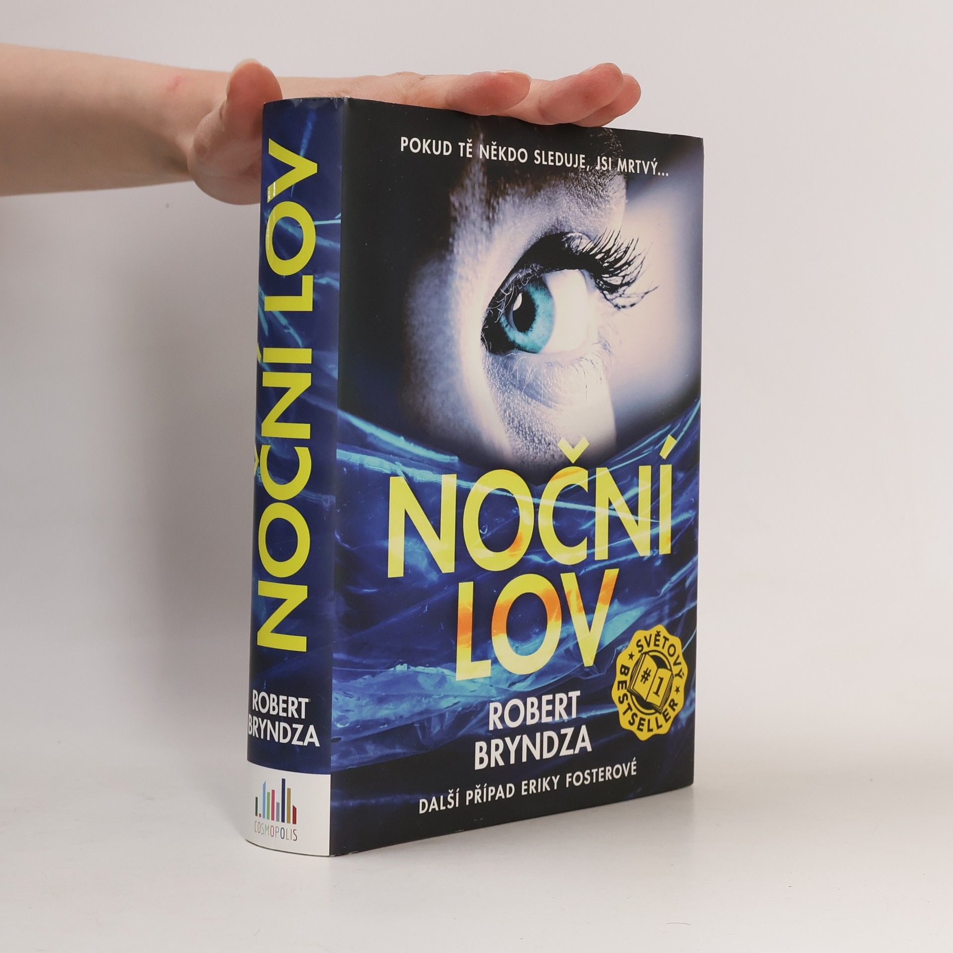 Robert Bryndza Noční lov