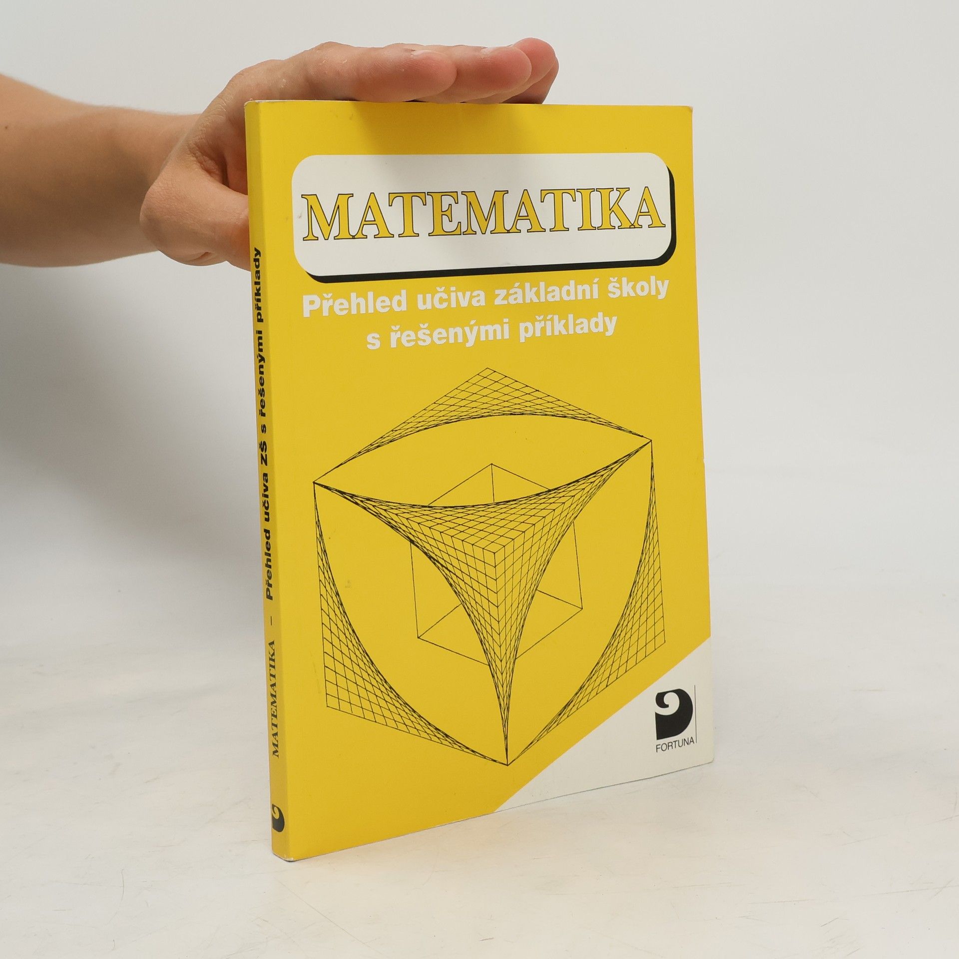 Jelena Tomićević Matematika. Přehled učiva základní školy s řešenými příklady