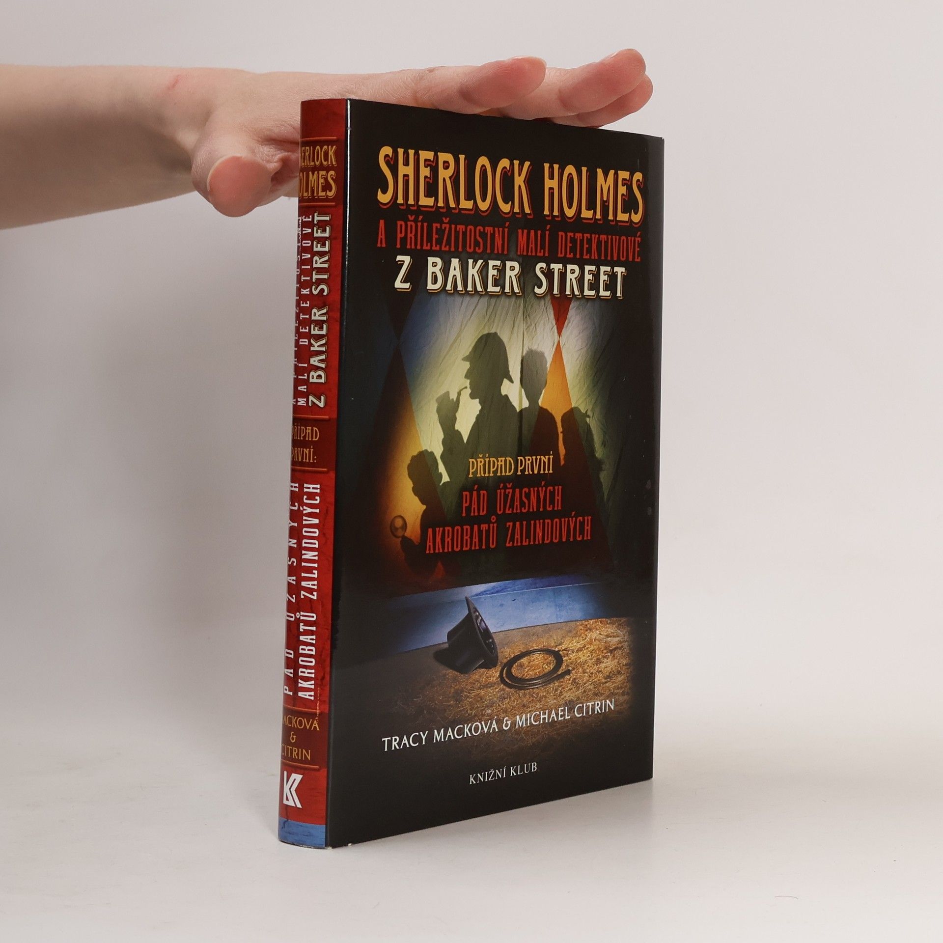 Michael Citrin Sherlock Holmes a příležitostní malí detektivové z Baker Street. Případ první. Pád úžasných akrobatů Zalindových
