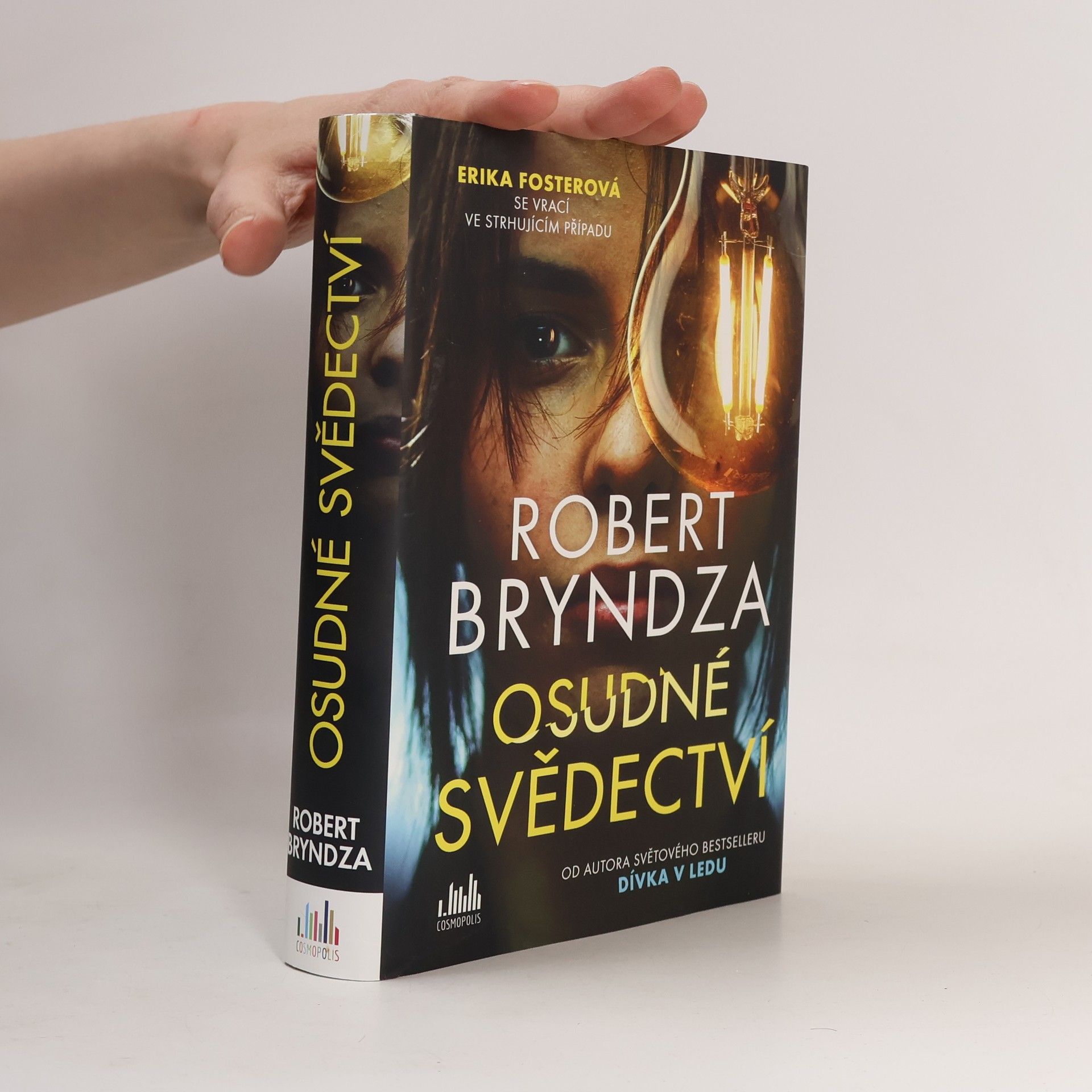 Robert Bryndza Osudné svědectví