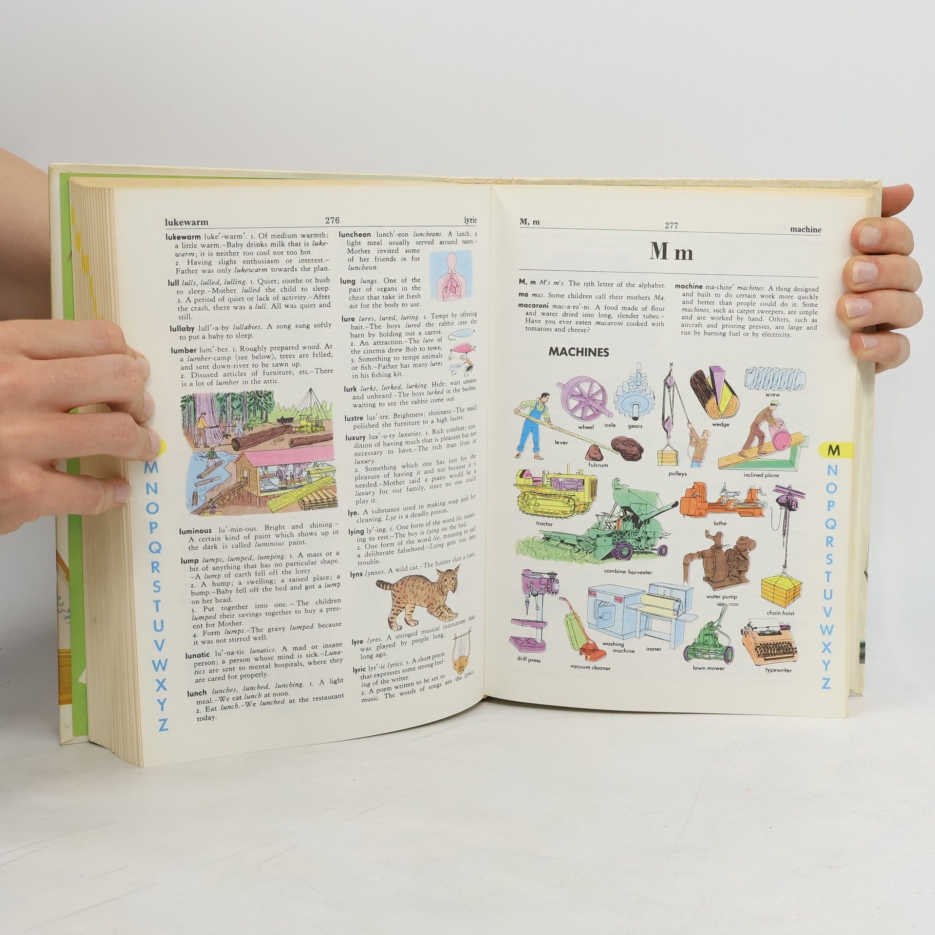 Stuart A. Courtis The Giant All-Colour Dictionary