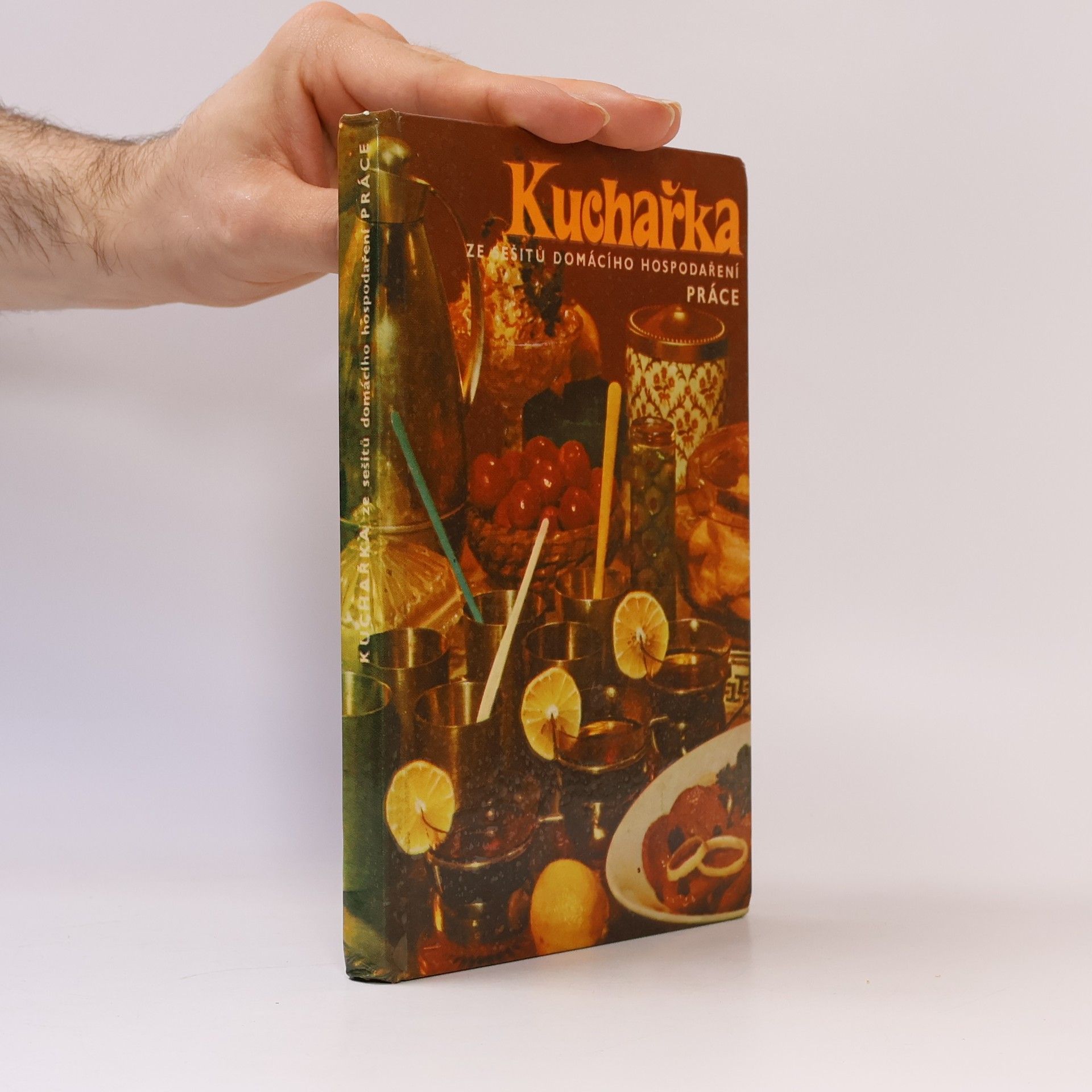 Joza Břízová Kuchařka ze sešitů domácího hospodaření