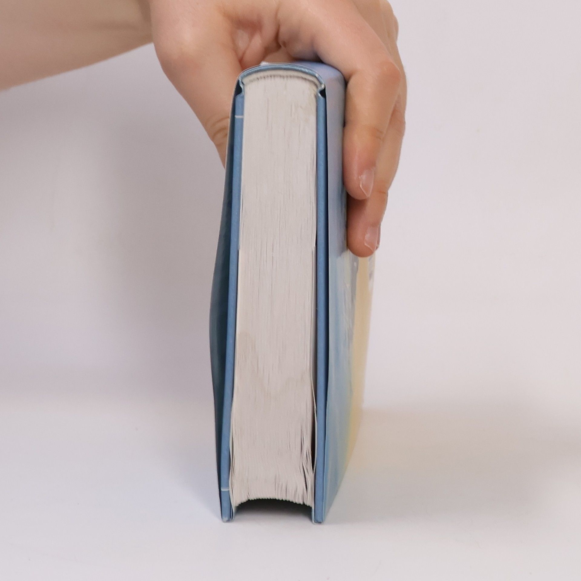 John Irving Pitná kúra