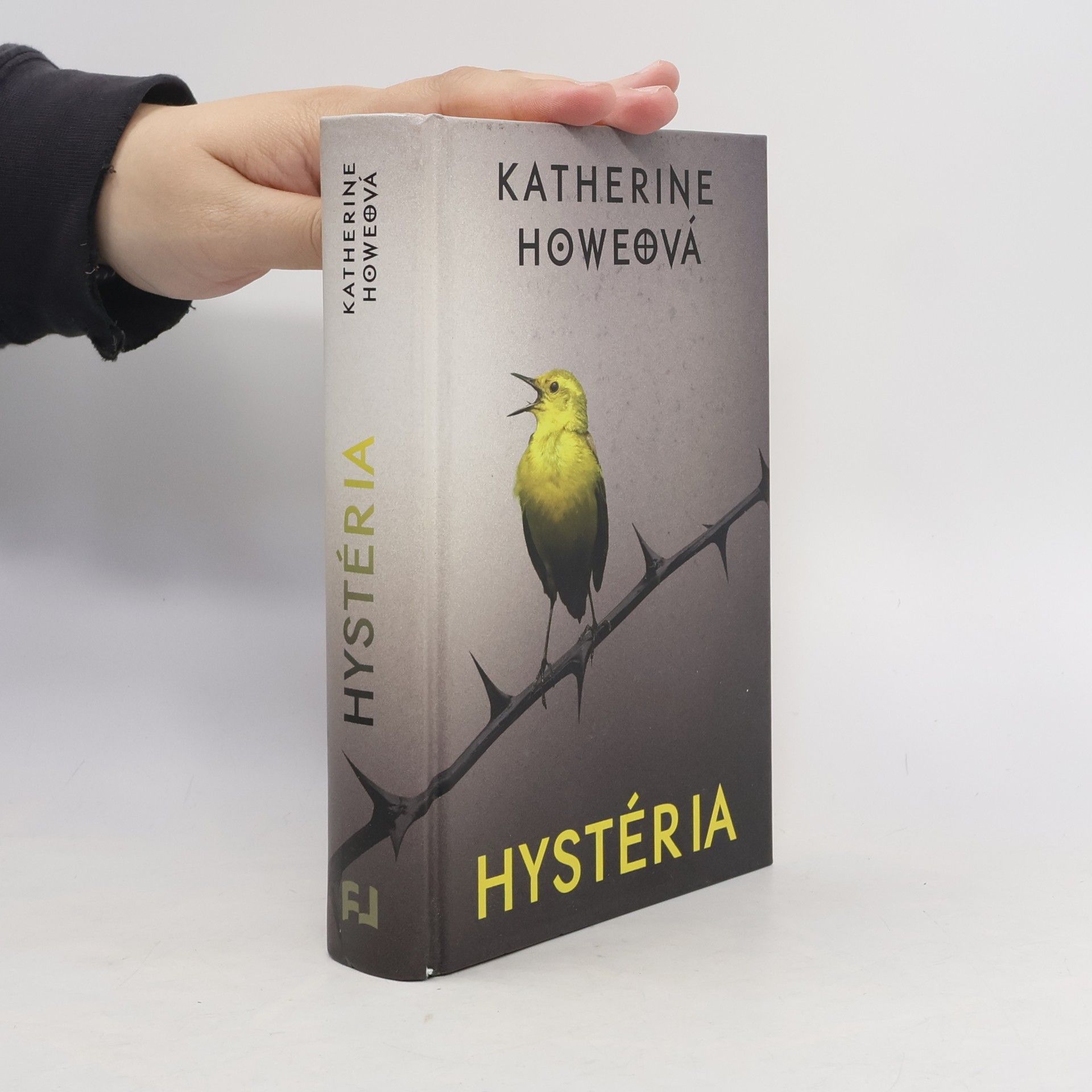 Katherine Howe Hystéria
