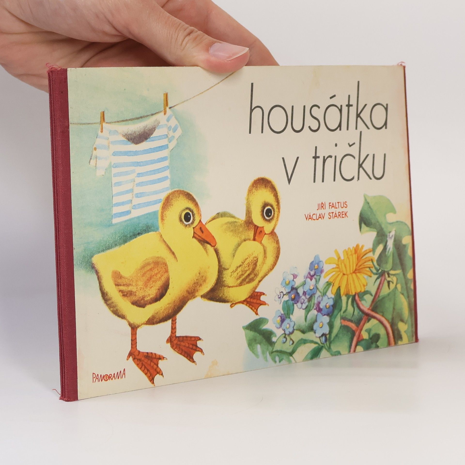 Jiří Faltus Housátka v tričku
