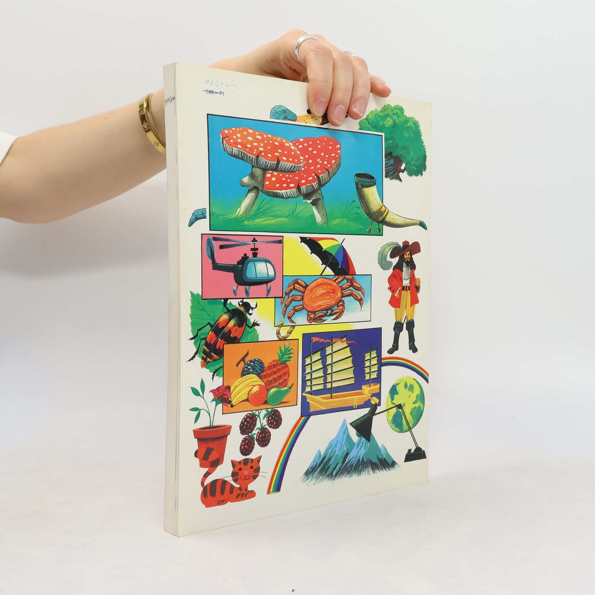 Elizabeth Goodacre Picture Dictionary