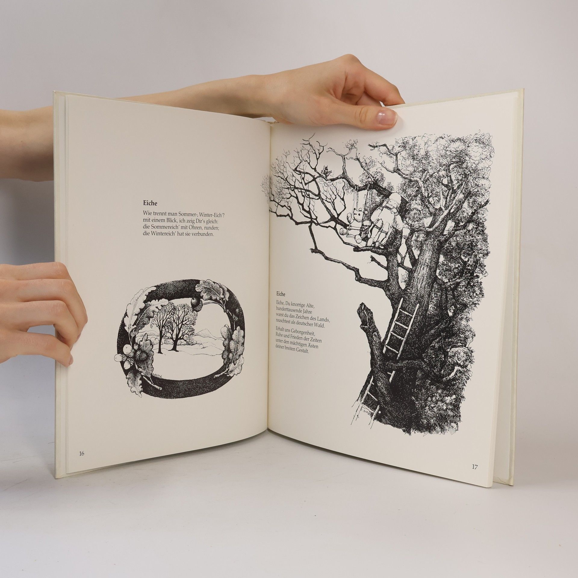 Ludwigs Baum-Bilderbuch